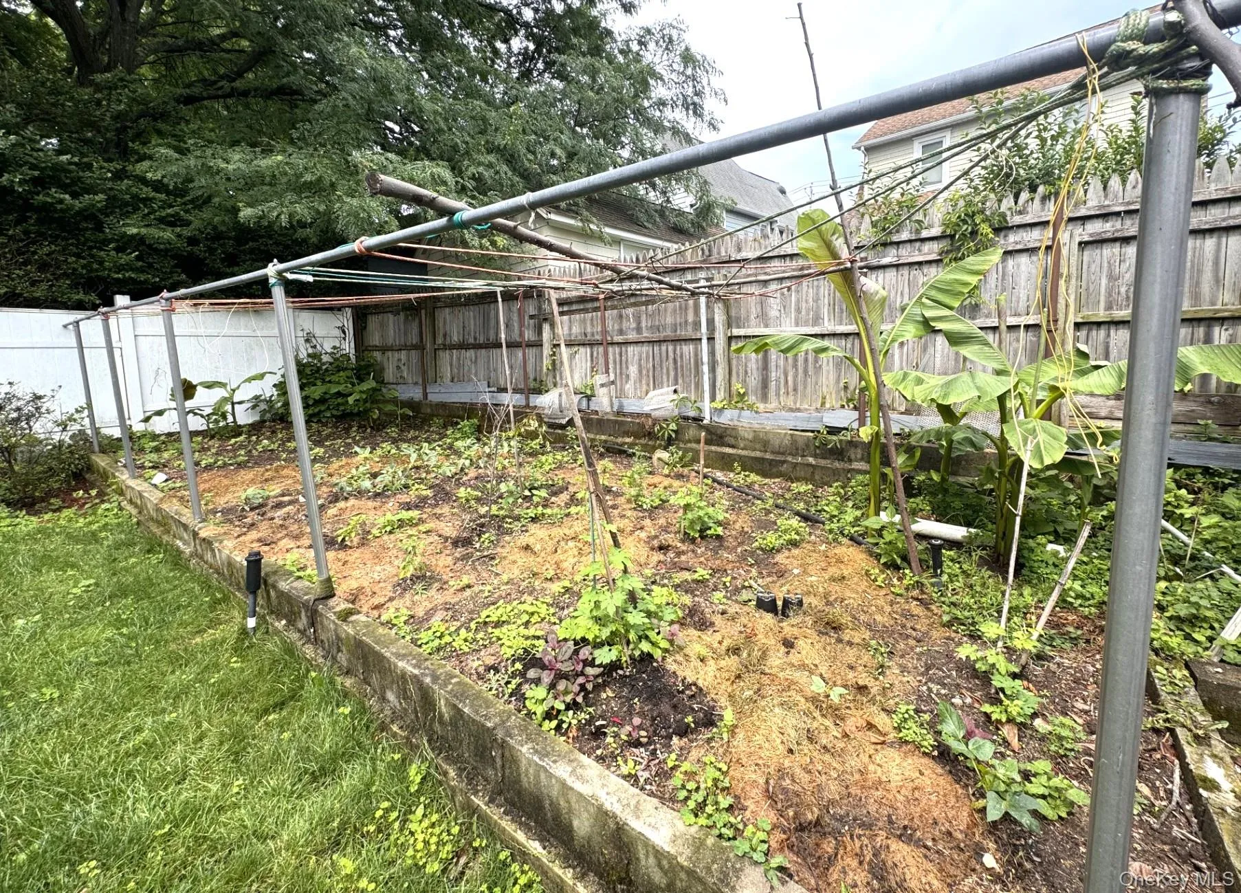 36 Earle Place, New Rochelle, NY, 3 Bedrooms Bedrooms, 10 Rooms Rooms,2 BathroomsBathrooms,Residential,For Rent,Earle,0,1019248 36 Earle Place, New Rochelle, NY, 3 Bedrooms Bedrooms, 10 Rooms Rooms,2 BathroomsBathrooms,Residential,For Rent,Earle,0,1019248