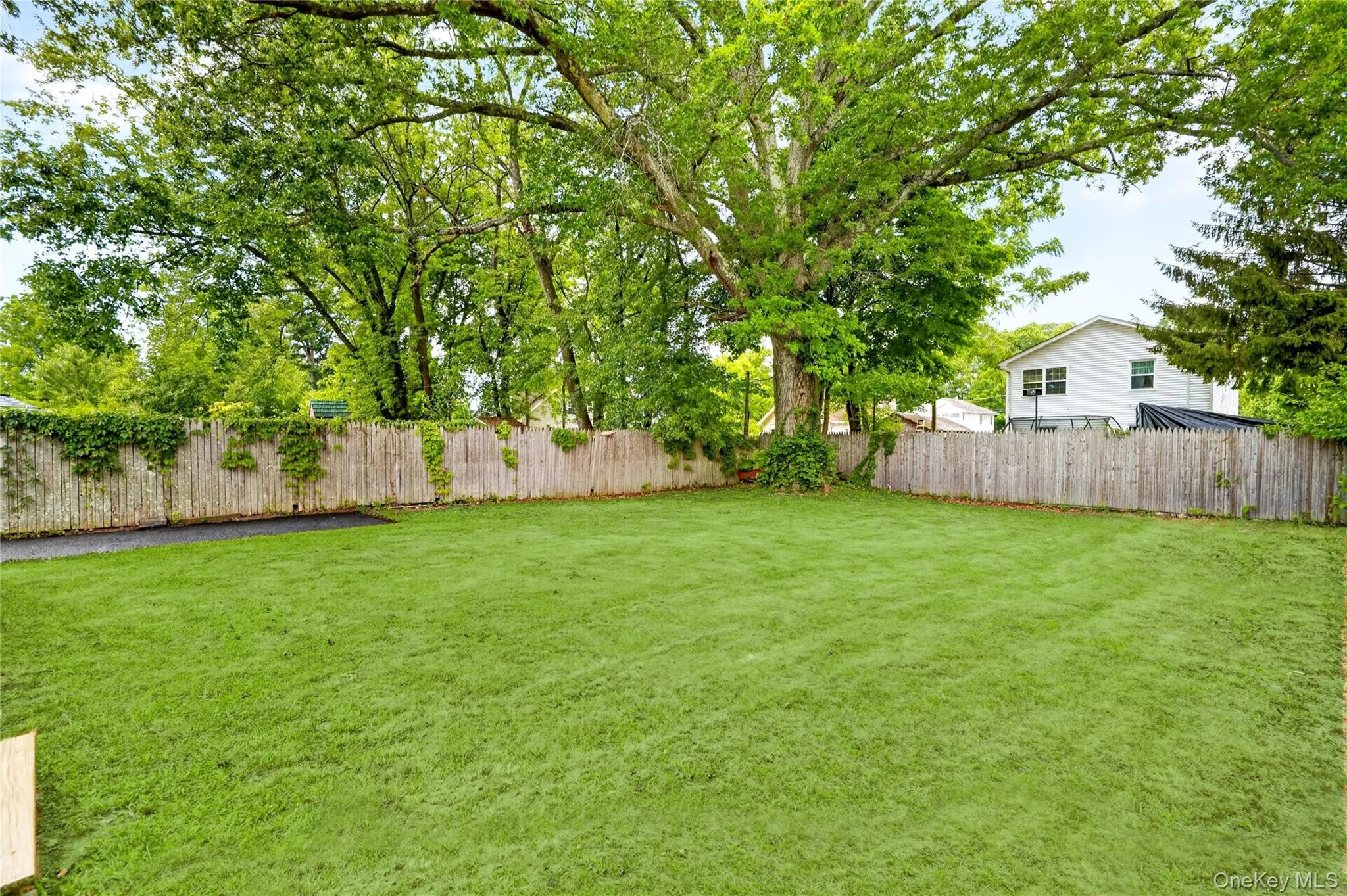 68 Ridgewood Avenue, Middletown, NY, 2 Bedrooms Bedrooms, 5 Rooms Rooms,1 BathroomBathrooms,Residential,For Rent,Ridgewood,0,1019263 68 Ridgewood Avenue, Middletown, NY, 2 Bedrooms Bedrooms, 5 Rooms Rooms,1 BathroomBathrooms,Residential,For Rent,Ridgewood,0,1019263