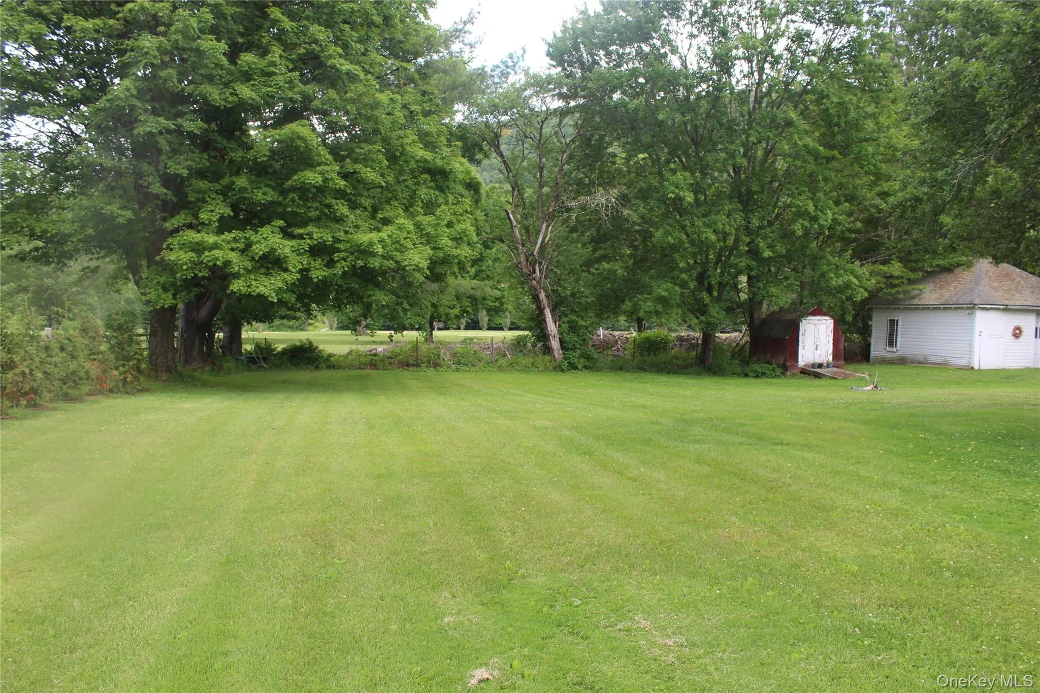 Expansive green lawn framed by mature trees Expansive green lawn framed by mature trees