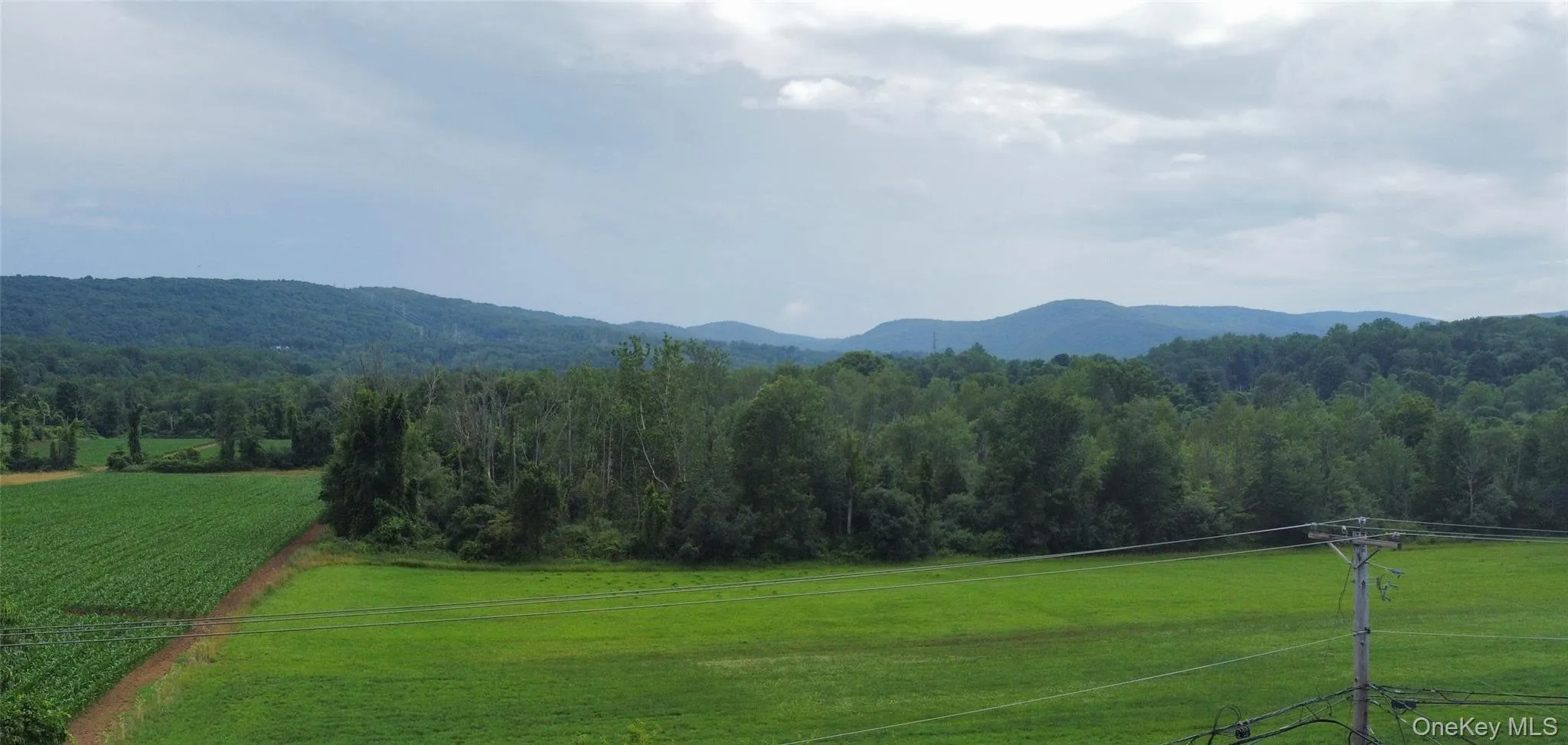 The fields, the trees, the mountains, the view! The fields, the trees, the mountains, the view!