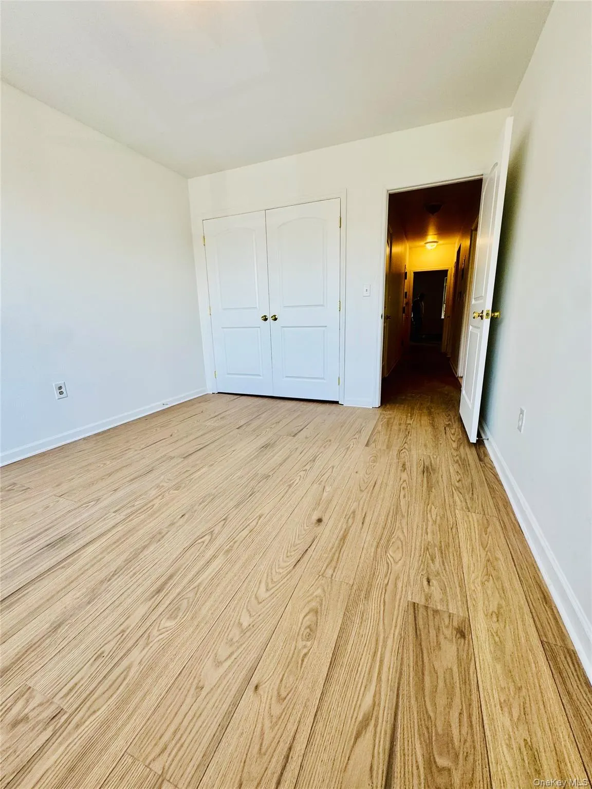 214 Mother Gaston Boulevard, New York, NY, 2 Bedrooms Bedrooms, 3 Rooms Rooms,1 BathroomBathrooms,Residential Lease,For Rent,Mother Gaston Boulevard,0,1019349 214 Mother Gaston Boulevard, New York, NY, 2 Bedrooms Bedrooms, 3 Rooms Rooms,1 BathroomBathrooms,Residential Lease,For Rent,Mother Gaston Boulevard,0,1019349