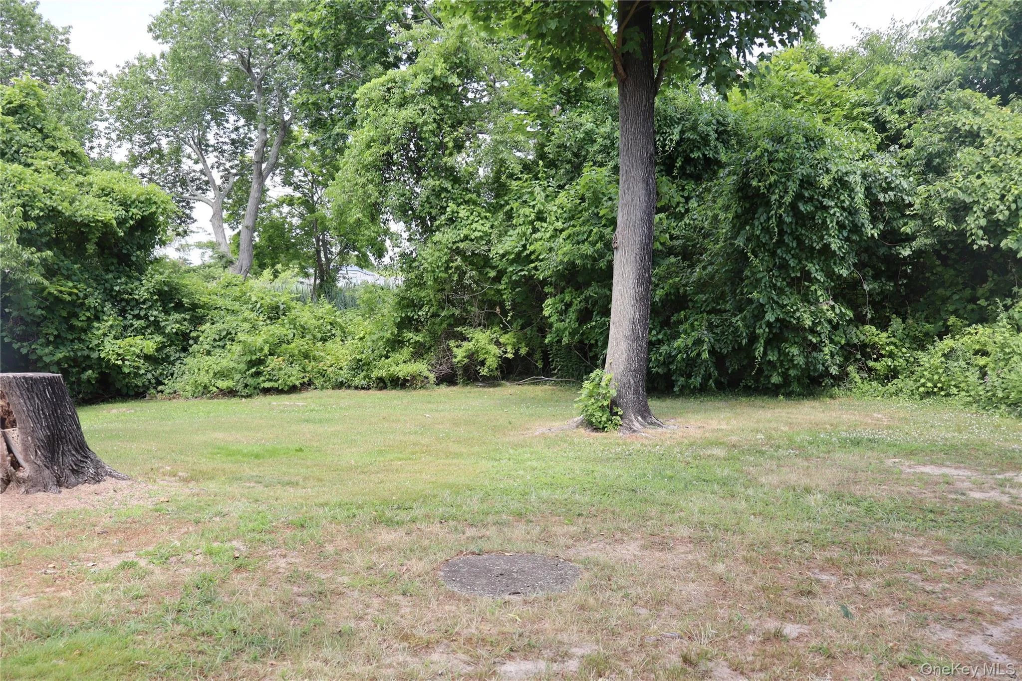 Partially wooded Partially wooded