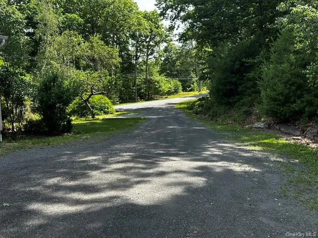 64 Yankee Lake Road, Mamakating, NY, 3 Bedrooms Bedrooms, 6 Rooms Rooms,1 BathroomBathrooms,Residential Lease,For Rent,Yankee Lake,0,1019418 64 Yankee Lake Road, Mamakating, NY, 3 Bedrooms Bedrooms, 6 Rooms Rooms,1 BathroomBathrooms,Residential Lease,For Rent,Yankee Lake,0,1019418
