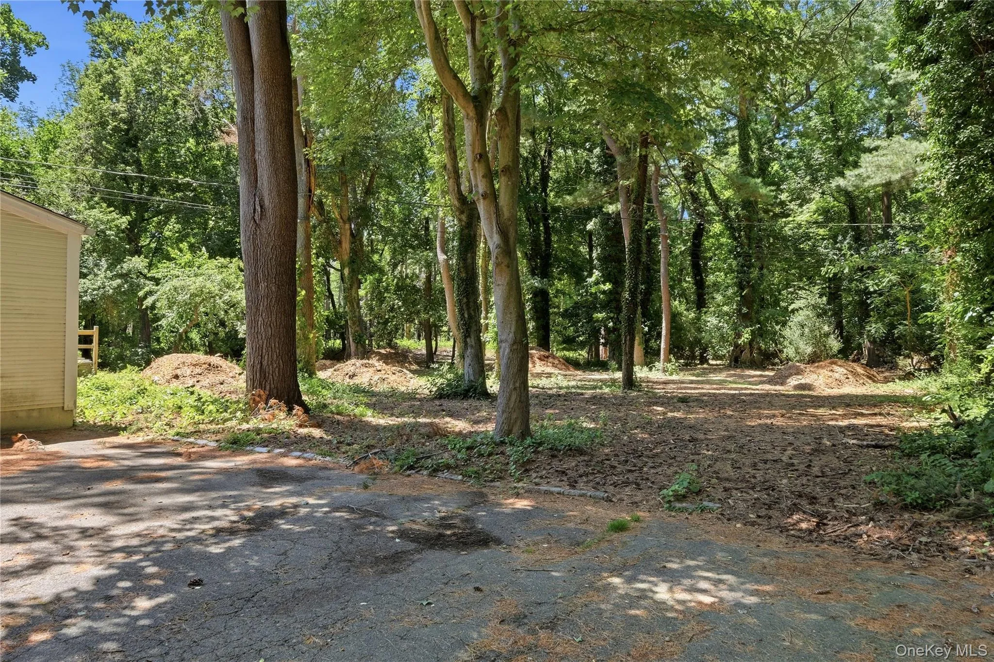 19 Pheasant Hill Lane, Oyster Bay, NY, 5 Bedrooms Bedrooms, 10 Rooms Rooms,3 BathroomsBathrooms,Residential,For Rent,Pheasant Hill,0,1019434 19 Pheasant Hill Lane, Oyster Bay, NY, 5 Bedrooms Bedrooms, 10 Rooms Rooms,3 BathroomsBathrooms,Residential,For Rent,Pheasant Hill,0,1019434