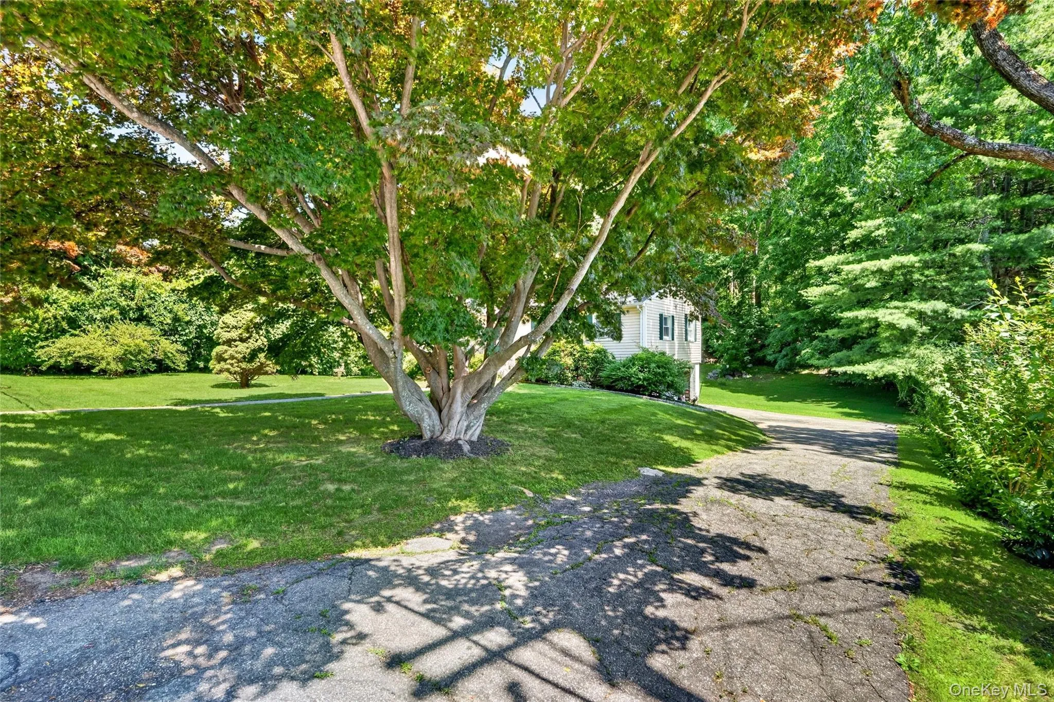 116 Chestnut Ridge Road, Carmel, NY, 3 Bedrooms Bedrooms, 7 Rooms Rooms,1 BathroomBathrooms,Residential,For Rent,Chestnut Ridge,0,1019498 116 Chestnut Ridge Road, Carmel, NY, 3 Bedrooms Bedrooms, 7 Rooms Rooms,1 BathroomBathrooms,Residential,For Rent,Chestnut Ridge,0,1019498