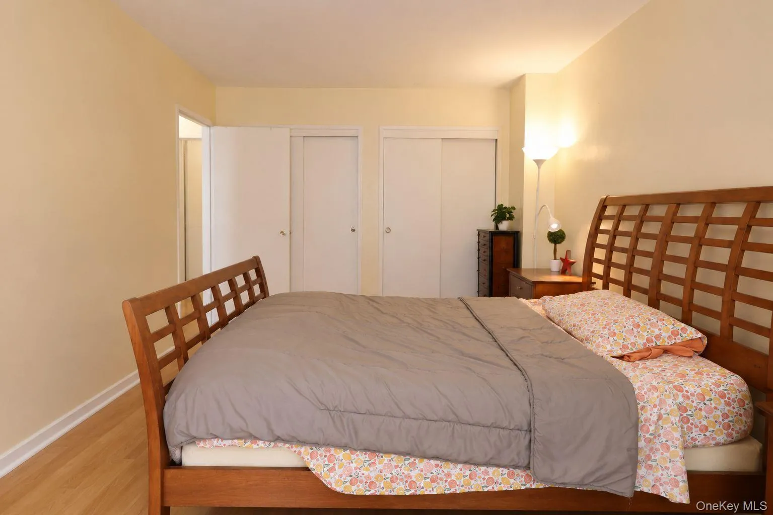 Large bedroom with double closets and double windows Large bedroom with double closets and double windows
