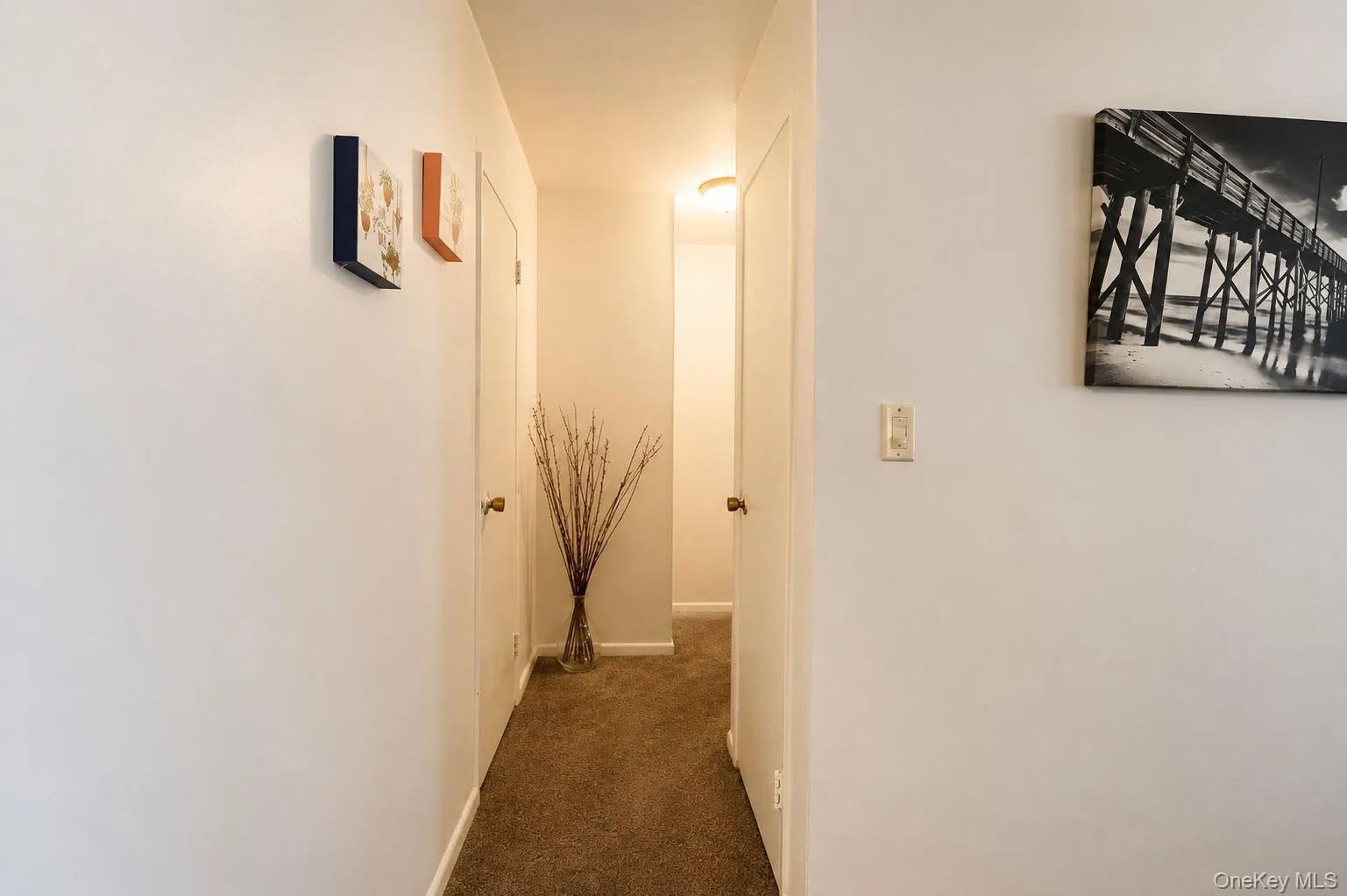 Hallway with walk-in closet Hallway with walk-in closet