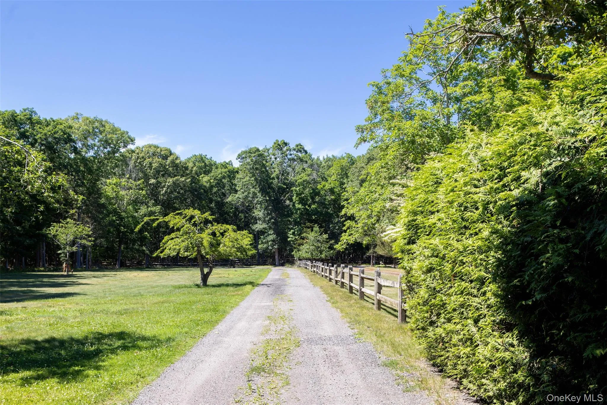 300 Terry Path, Southold, NY, 6 Bedrooms Bedrooms, 12 Rooms Rooms,4 BathroomsBathrooms,Residential,For Rent,Terry,0,1019513 300 Terry Path, Southold, NY, 6 Bedrooms Bedrooms, 12 Rooms Rooms,4 BathroomsBathrooms,Residential,For Rent,Terry,0,1019513
