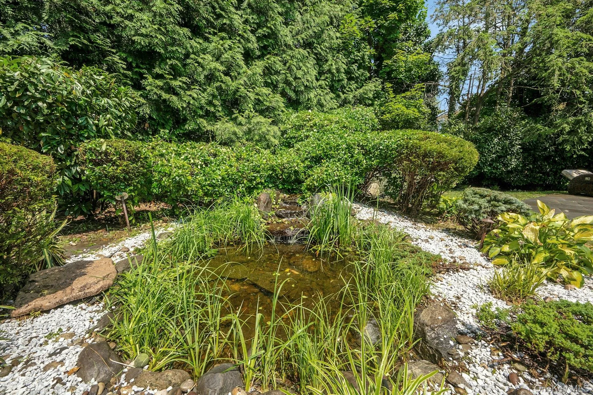514 Esplanade, Pelham, NY, 4 Bedrooms Bedrooms, 11 Rooms Rooms,4 BathroomsBathrooms,Residential,For Rent,Esplanade,0,1019519 514 Esplanade, Pelham, NY, 4 Bedrooms Bedrooms, 11 Rooms Rooms,4 BathroomsBathrooms,Residential,For Rent,Esplanade,0,1019519