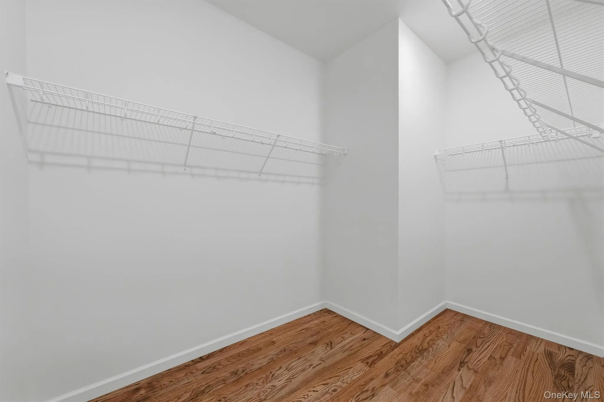 31 Magnolia Park Road, Middletown, NY, 3 Bedrooms Bedrooms, 10 Rooms Rooms,3 BathroomsBathrooms,Residential,For Rent,Magnolia Park,0,1019522 31 Magnolia Park Road, Middletown, NY, 3 Bedrooms Bedrooms, 10 Rooms Rooms,3 BathroomsBathrooms,Residential,For Rent,Magnolia Park,0,1019522
