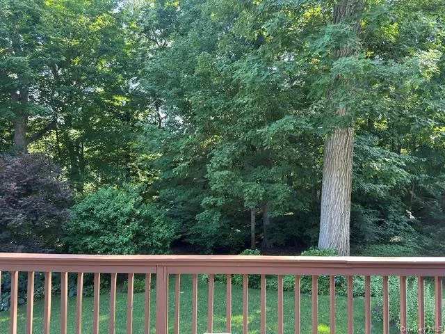 This is the view from the deck into the Hunt Woods This is the view from the deck into the Hunt Woods