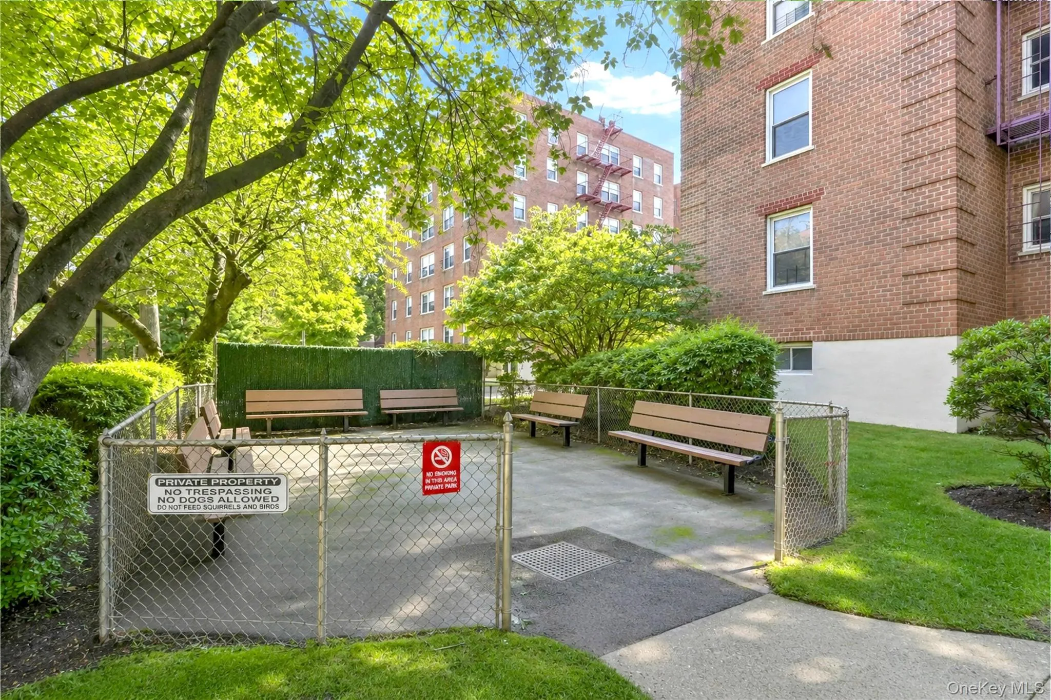 26-21 Union Street, New York, NY, 2 Bedrooms Bedrooms, 5 Rooms Rooms,1 BathroomBathrooms,Residential,For Rent,Union,0,1019547 26-21 Union Street, New York, NY, 2 Bedrooms Bedrooms, 5 Rooms Rooms,1 BathroomBathrooms,Residential,For Rent,Union,0,1019547