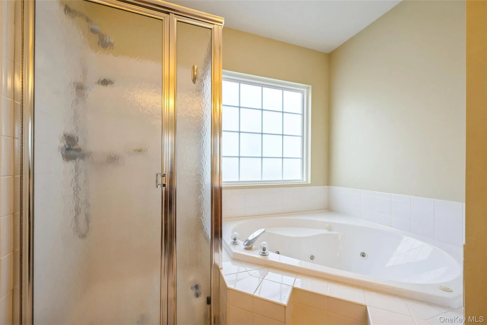 Stand-up shower and Jacuzzi tub Stand-up shower and Jacuzzi tub