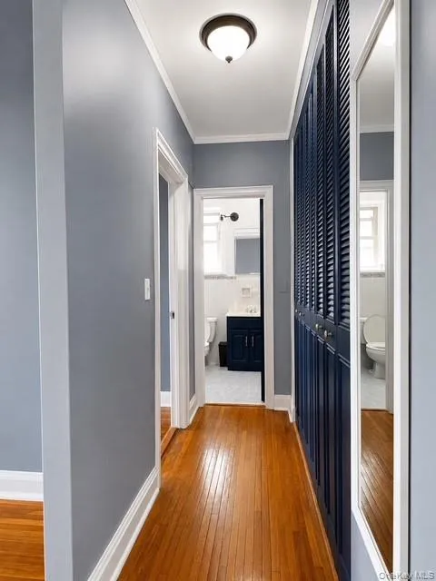 48-20 44th Street, New York, NY, 1 Bedroom Bedrooms, 3 Rooms Rooms,1 BathroomBathrooms,Residential,For Rent,44th,0,1019574 48-20 44th Street, New York, NY, 1 Bedroom Bedrooms, 3 Rooms Rooms,1 BathroomBathrooms,Residential,For Rent,44th,0,1019574