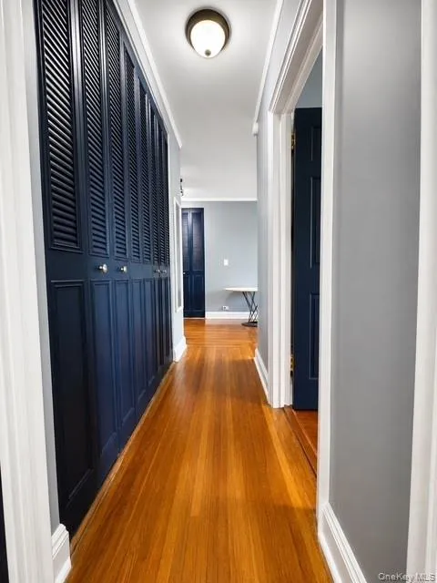 48-20 44th Street, New York, NY, 1 Bedroom Bedrooms, 3 Rooms Rooms,1 BathroomBathrooms,Residential,For Rent,44th,0,1019574 48-20 44th Street, New York, NY, 1 Bedroom Bedrooms, 3 Rooms Rooms,1 BathroomBathrooms,Residential,For Rent,44th,0,1019574