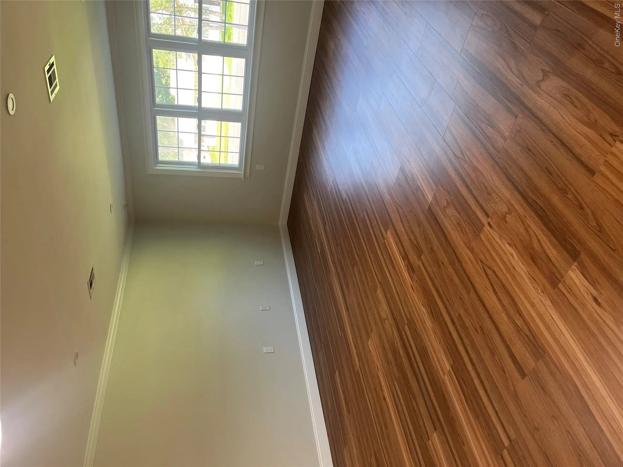 Large Living room Large Living room