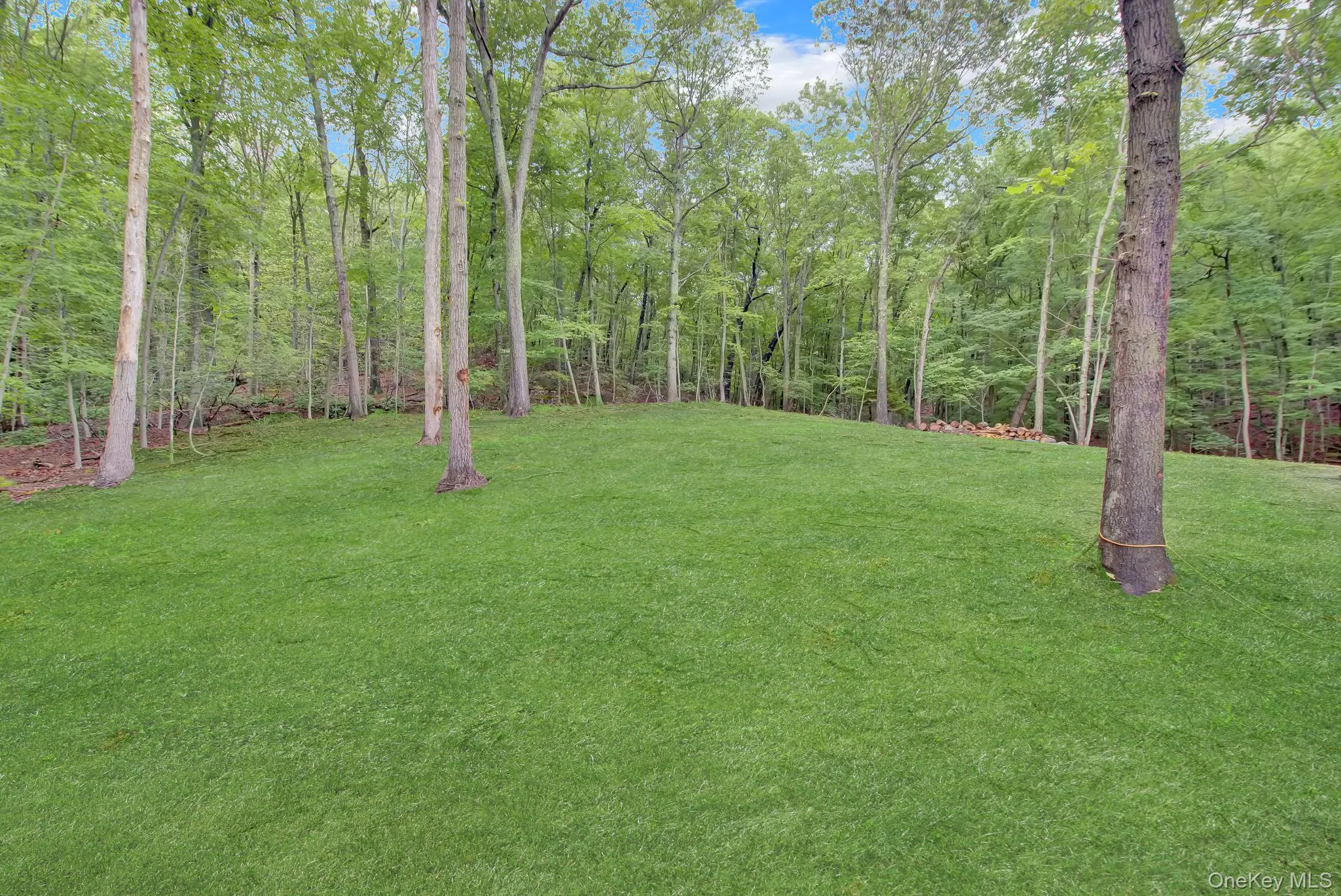 301 Old Mill Road, Smithtown, NY, 6 Bedrooms Bedrooms, 10 Rooms Rooms,4 BathroomsBathrooms,Residential,For Rent,Old Mill,0,1019623 301 Old Mill Road, Smithtown, NY, 6 Bedrooms Bedrooms, 10 Rooms Rooms,4 BathroomsBathrooms,Residential,For Rent,Old Mill,0,1019623