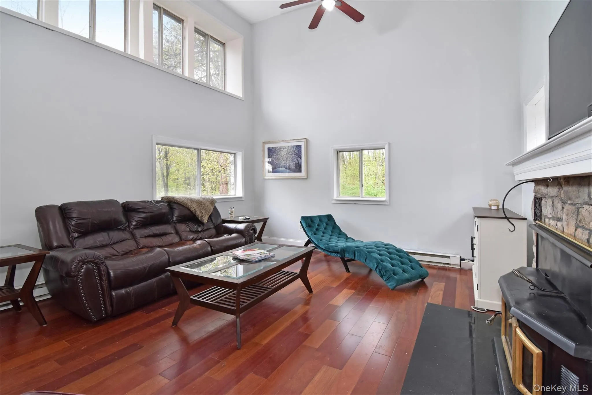Living Room with Wood Burning FirePlace Living Room with Wood Burning FirePlace