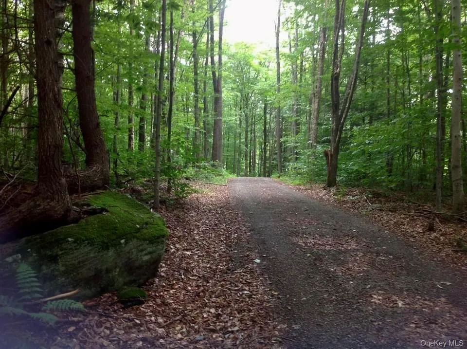 The private, tree-lined driveway is more than an approach to the home—it's the property's first impression and its lasting farewell, welcoming you with the quiet beauty of the surrounding forest and sending you off with the same sense of peace. The private, tree-lined driveway is more than an approach to the home—it's the property's first impression and its lasting farewell, welcoming you with the quiet beauty of the surrounding forest and sending you off with the same sense of peace.