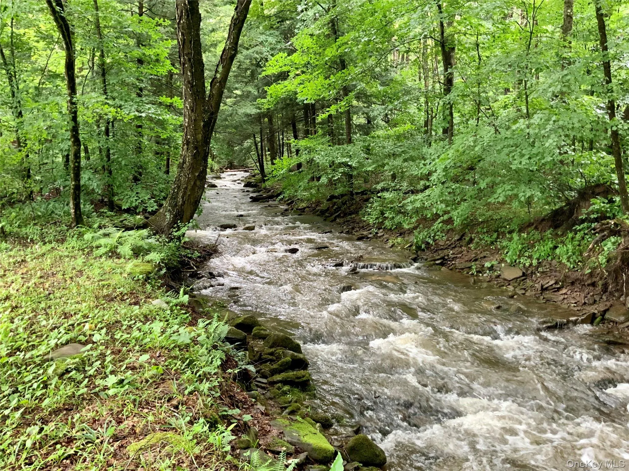 A beautiful, woodland creek meanders through the property, featuring clear flowing water, natural stone banks, and a peaceful forest setting. The stream provides a picturesque backdrop and a serene place to relax, explore, or simply enjoy the sounds of nature. A beautiful, woodland creek meanders through the property, featuring clear flowing water, natural stone banks, and a peaceful forest setting. The stream provides a picturesque backdrop and a serene place to relax, explore, or simply enjoy the sounds of nature.