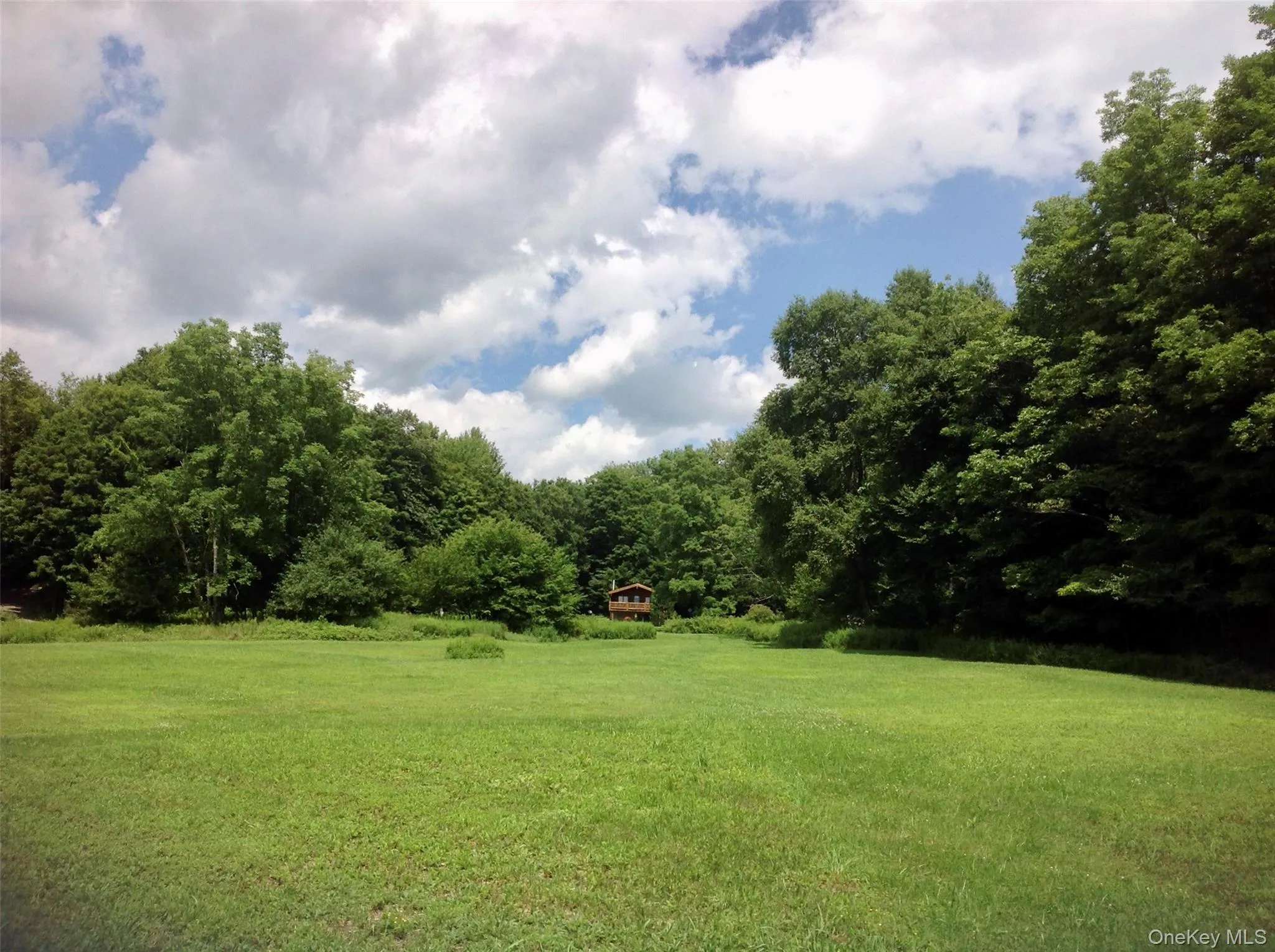 A rare combination of open fields, mature forest, and exceptional privacy creates a property that's as peaceful as it is beautiful. Schedule your private tour and discover everything this Catskills retreat has to offer. A rare combination of open fields, mature forest, and exceptional privacy creates a property that's as peaceful as it is beautiful. Schedule your private tour and discover everything this Catskills retreat has to offer.