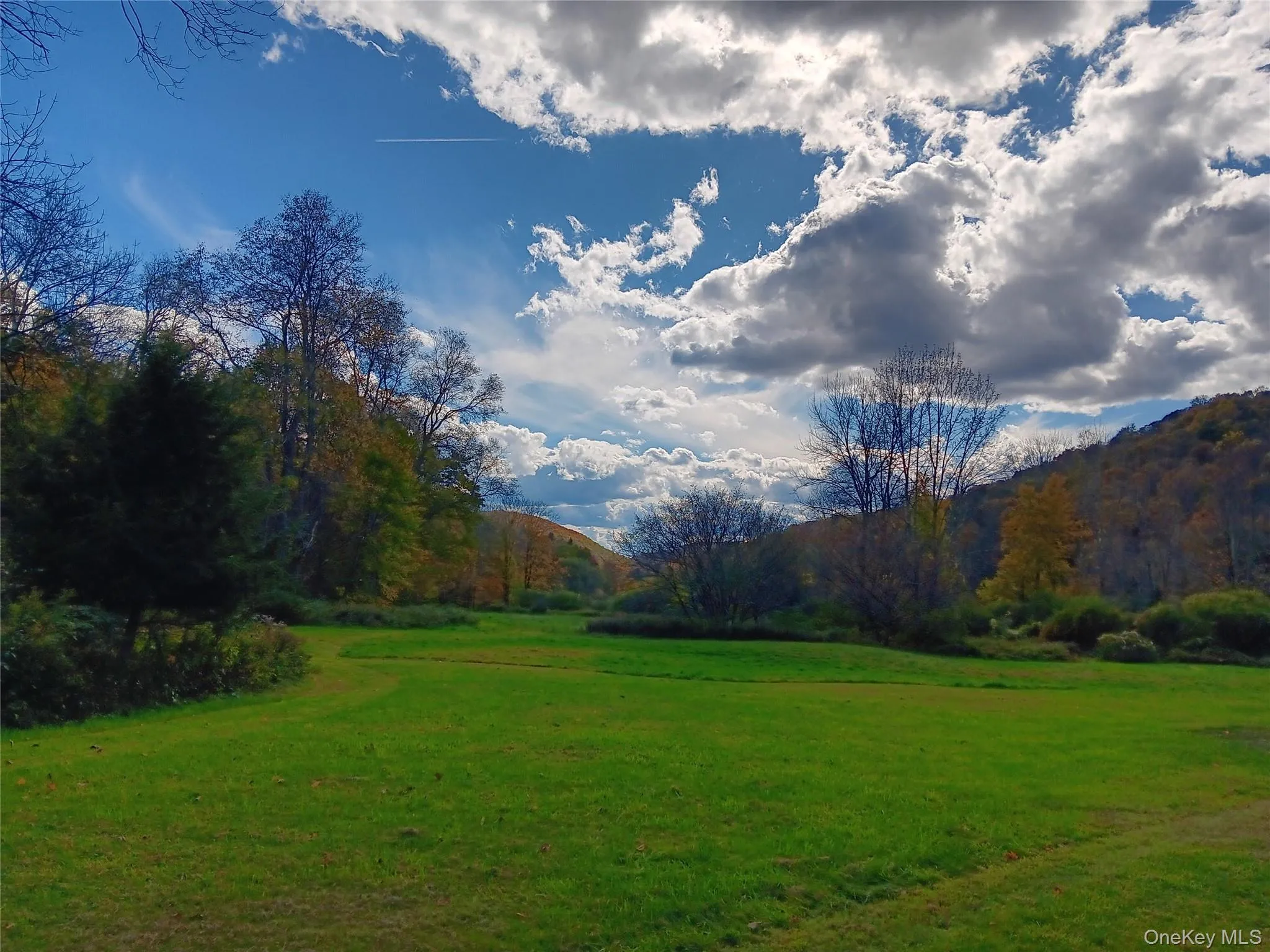 Enjoy the changing colors and natural beauty of every season from your own sun-filled open meadow. Enjoy the changing colors and natural beauty of every season from your own sun-filled open meadow.