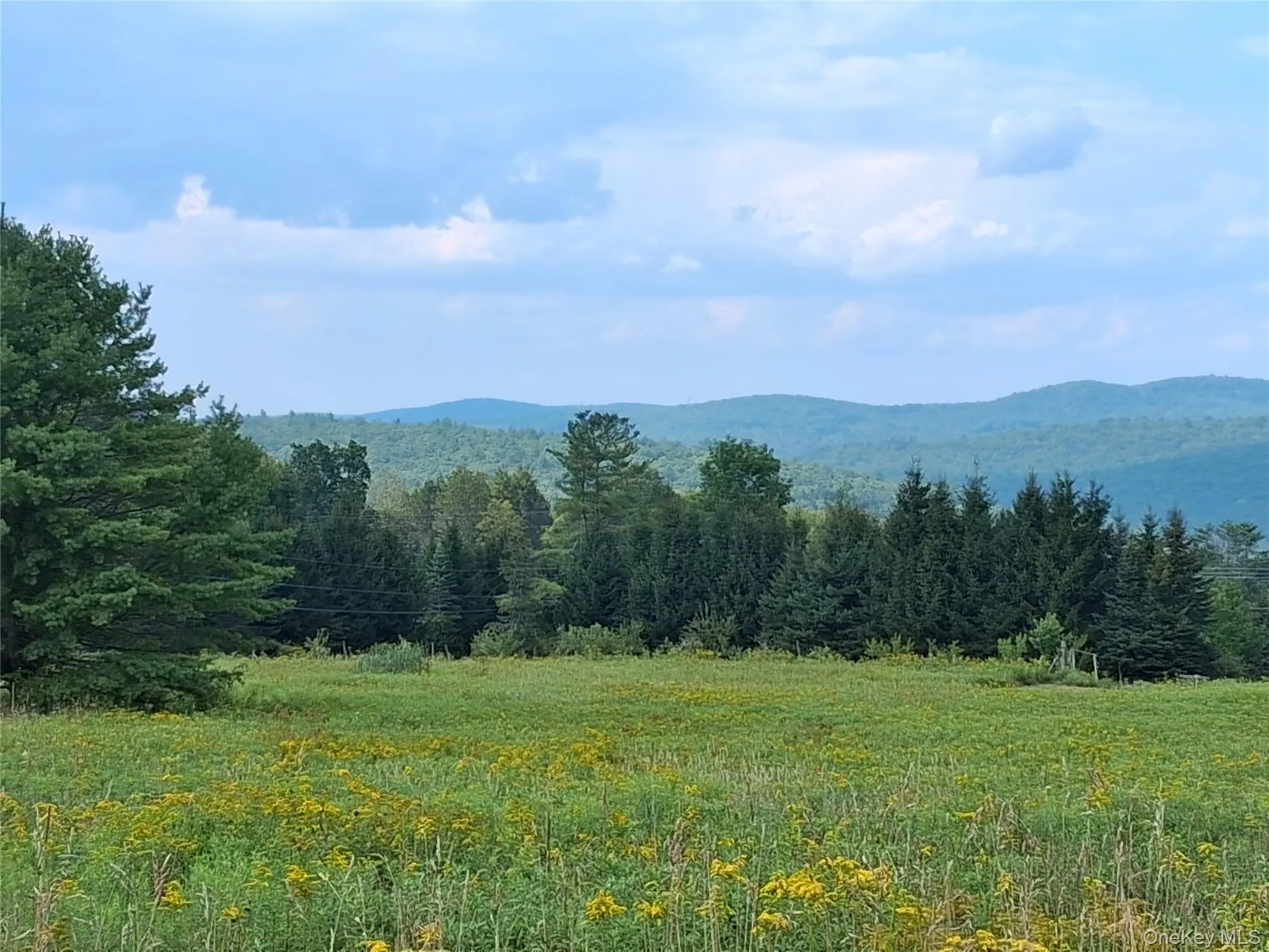 Enjoy the view from the top of Milton Smith Road framed by scenic mountain vistas. Enjoy the view from the top of Milton Smith Road framed by scenic mountain vistas.