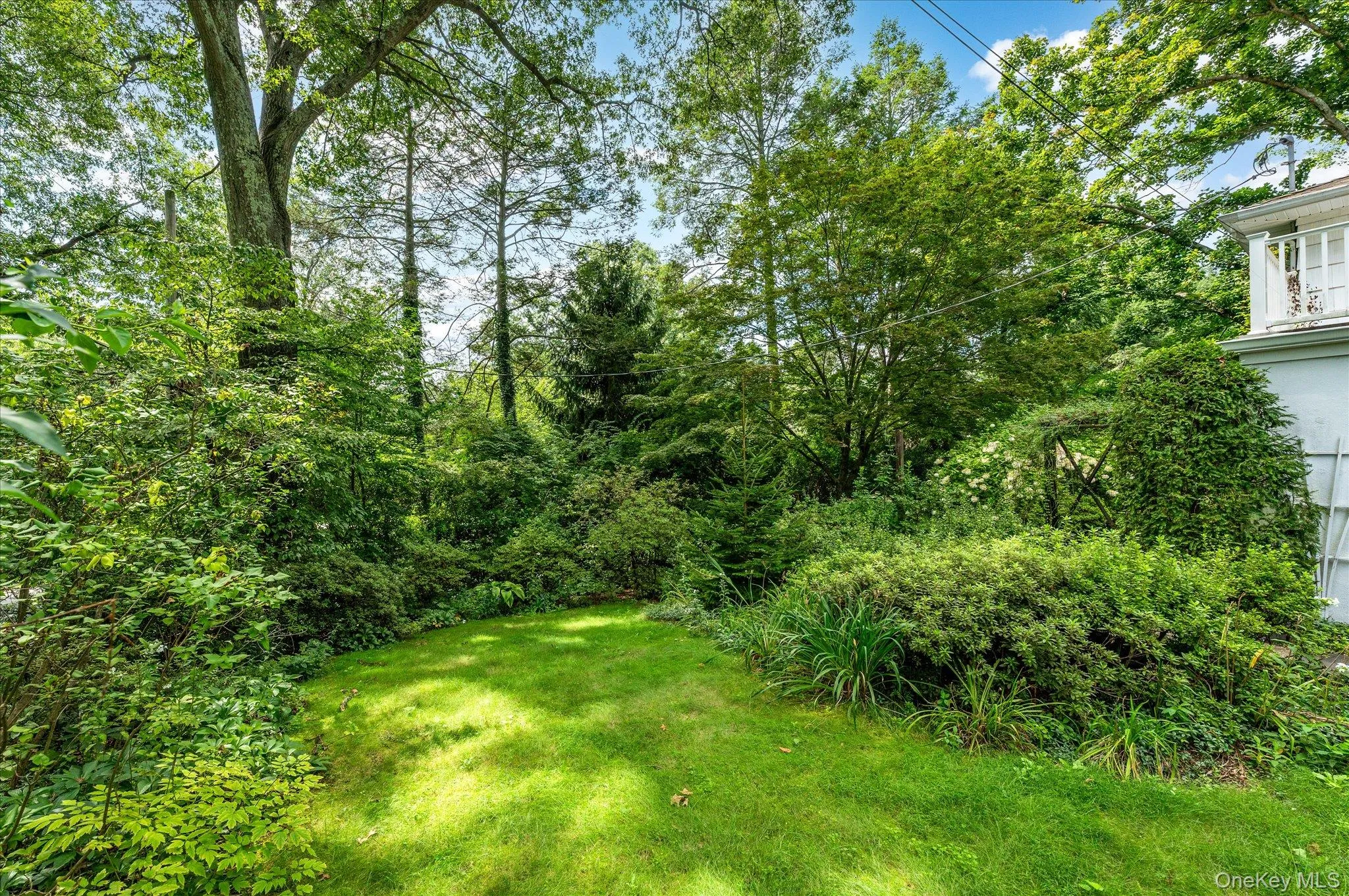 Backyard with Plantings Backyard with Plantings