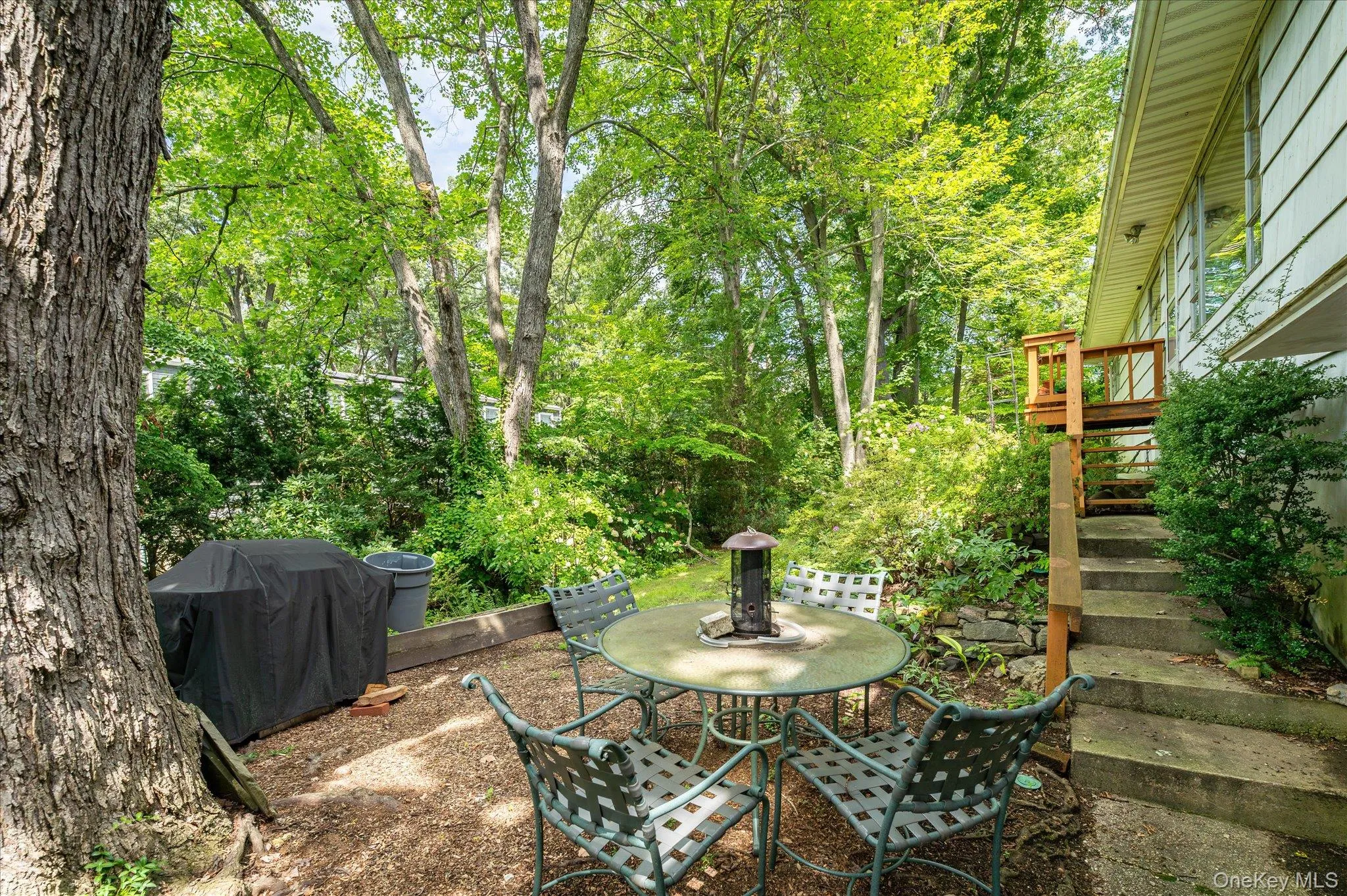 Backyard Backyard