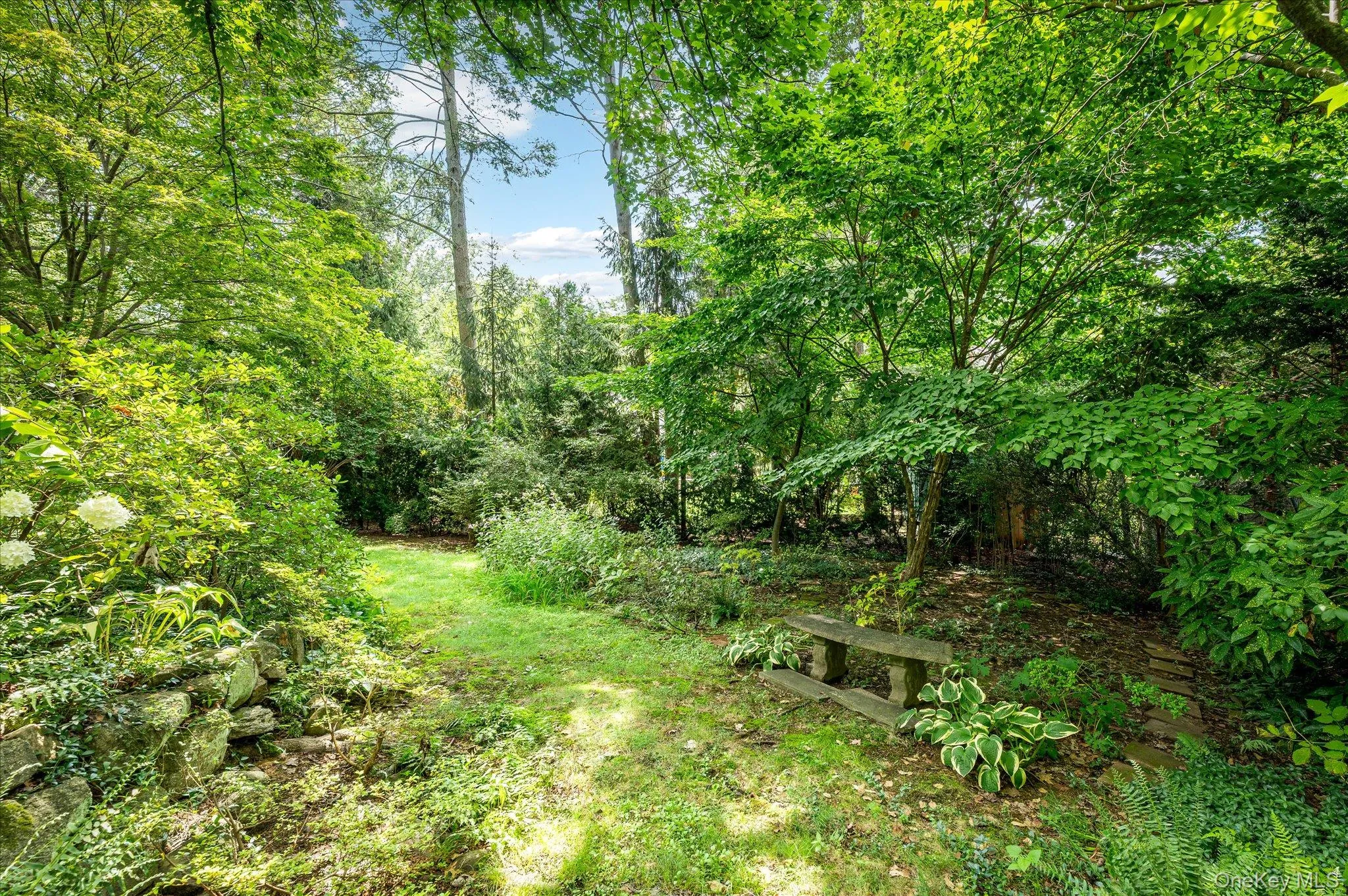 Backyard Backyard