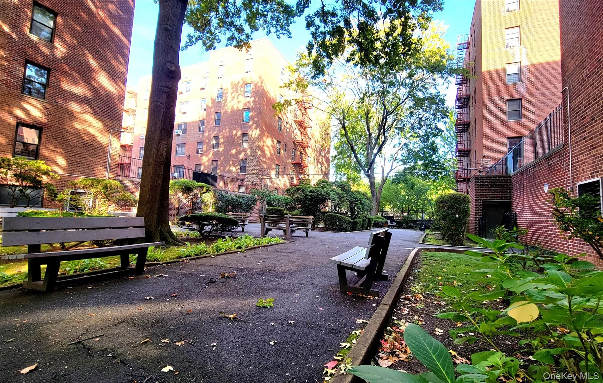 32-42 89th Street, New York, NY, 1 Bedroom Bedrooms, 3 Rooms Rooms,1 BathroomBathrooms,Residential,For Rent,89th,0,1019687 32-42 89th Street, New York, NY, 1 Bedroom Bedrooms, 3 Rooms Rooms,1 BathroomBathrooms,Residential,For Rent,89th,0,1019687