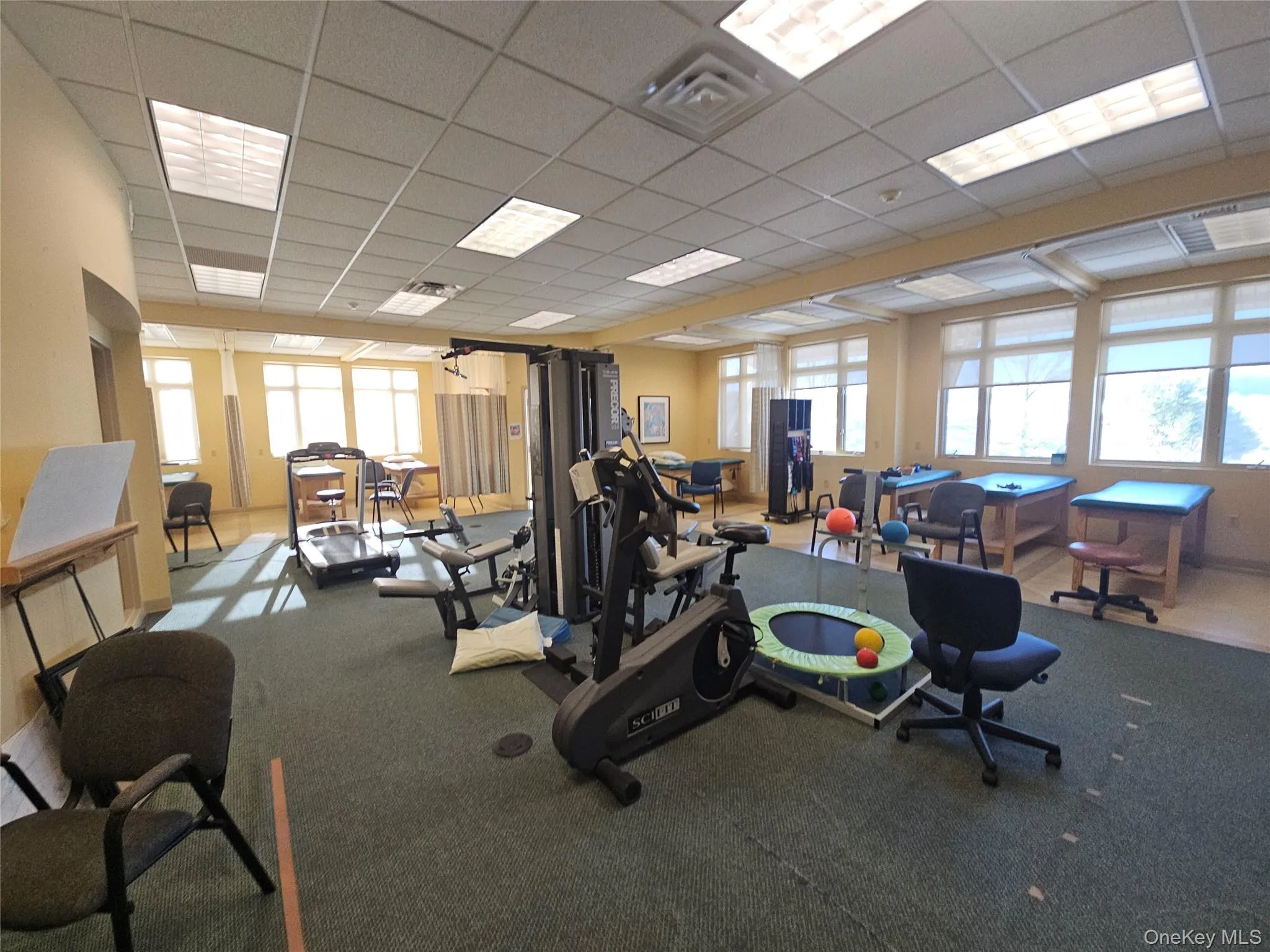 30 Hatfield Lane, Goshen, NY, ,Commercial Lease,For Rent,Hatfield,0,1019692 30 Hatfield Lane, Goshen, NY, ,Commercial Lease,For Rent,Hatfield,0,1019692