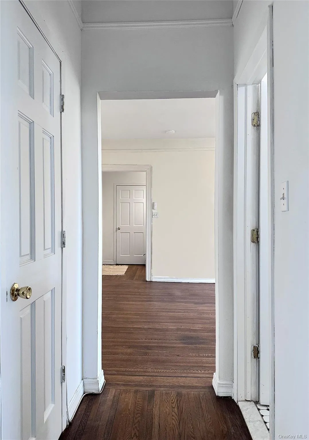 Spacious Living room with high Ceilings and Sunny Courtyard views. Spacious Living room with high Ceilings and Sunny Courtyard views.