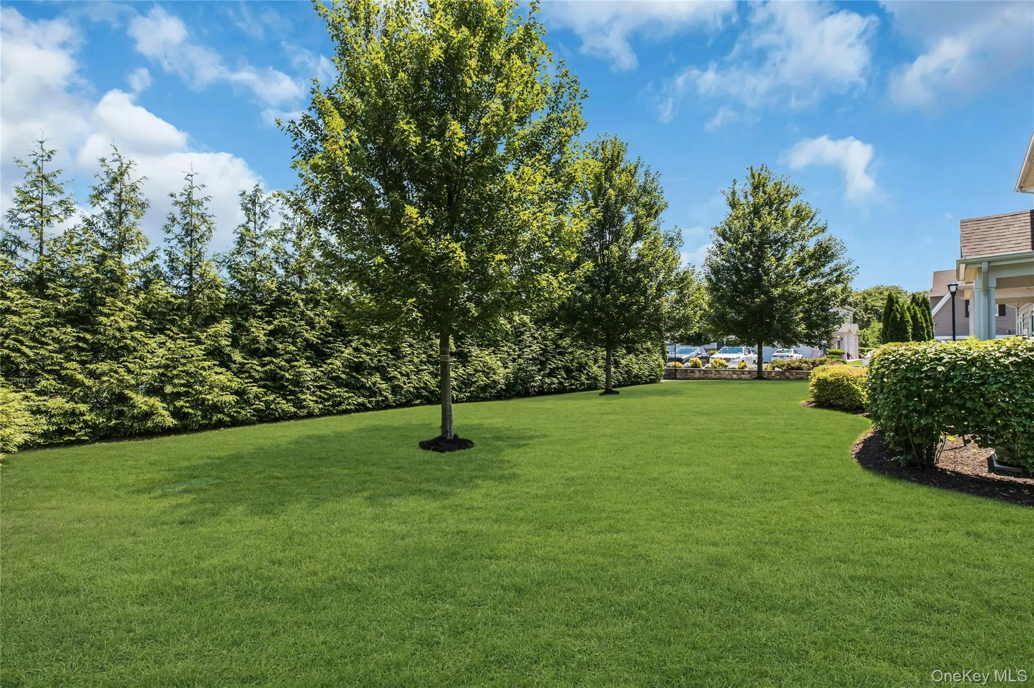 45104 Silver Birch Lane, Oyster Bay, NY, 2 Bedrooms Bedrooms, 5 Rooms Rooms,2 BathroomsBathrooms,Residential,For Rent,Silver Birch,0,1019729 45104 Silver Birch Lane, Oyster Bay, NY, 2 Bedrooms Bedrooms, 5 Rooms Rooms,2 BathroomsBathrooms,Residential,For Rent,Silver Birch,0,1019729