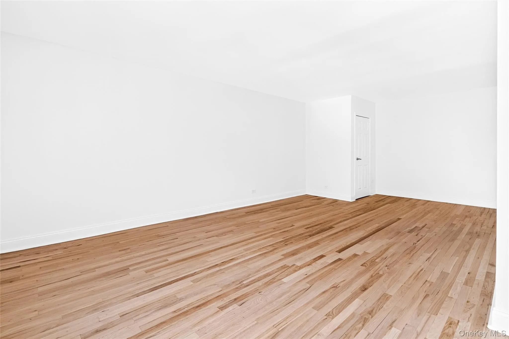 3201 Grand Concourse, New York, NY, 1 Bedroom Bedrooms, 3 Rooms Rooms,1 BathroomBathrooms,Residential,For Rent,Grand Concourse,0,1019731 3201 Grand Concourse, New York, NY, 1 Bedroom Bedrooms, 3 Rooms Rooms,1 BathroomBathrooms,Residential,For Rent,Grand Concourse,0,1019731