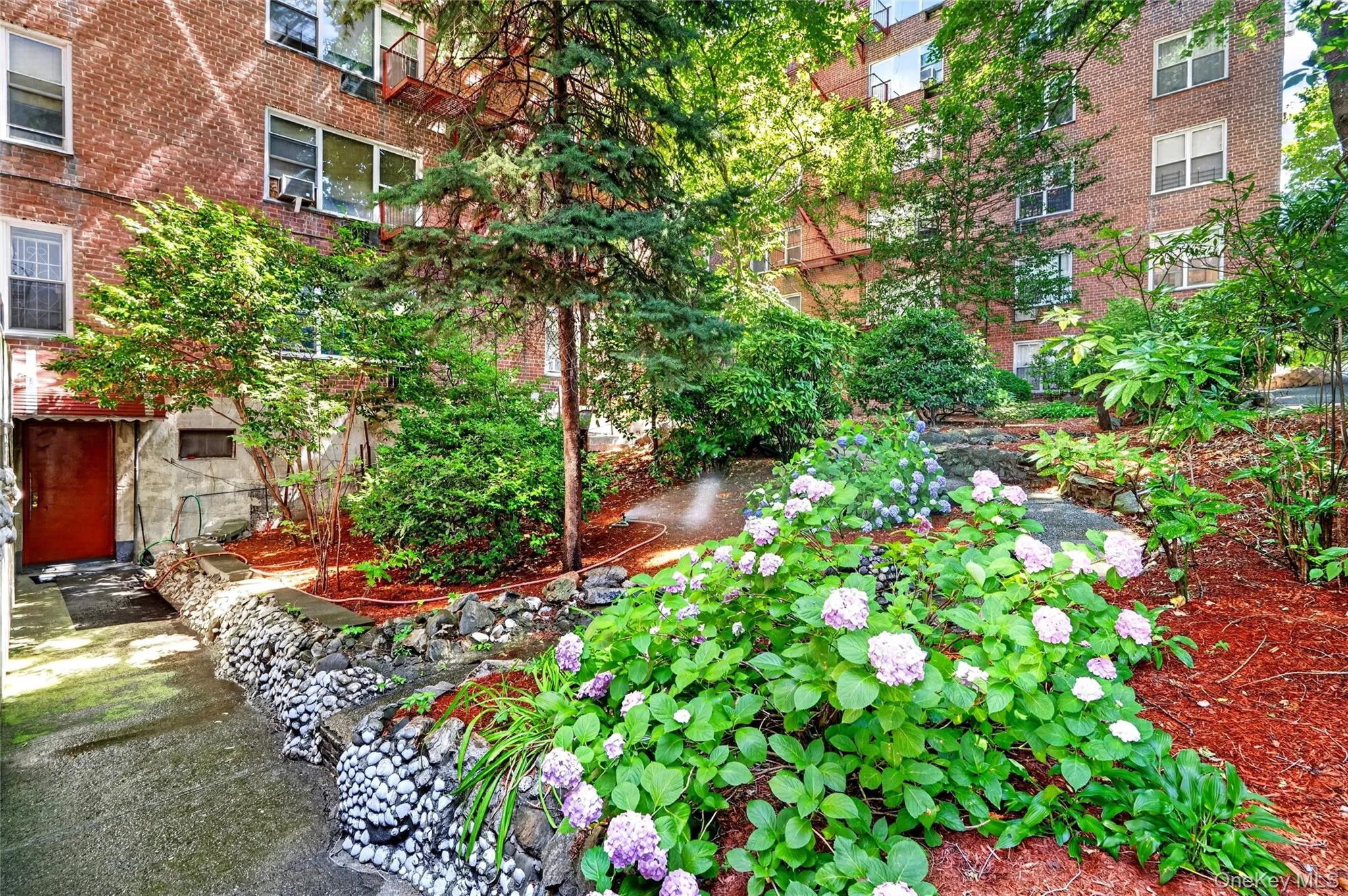 3201 Grand Concourse, New York, NY, 1 Bedroom Bedrooms, 3 Rooms Rooms,1 BathroomBathrooms,Residential,For Rent,Grand Concourse,0,1019731 3201 Grand Concourse, New York, NY, 1 Bedroom Bedrooms, 3 Rooms Rooms,1 BathroomBathrooms,Residential,For Rent,Grand Concourse,0,1019731
