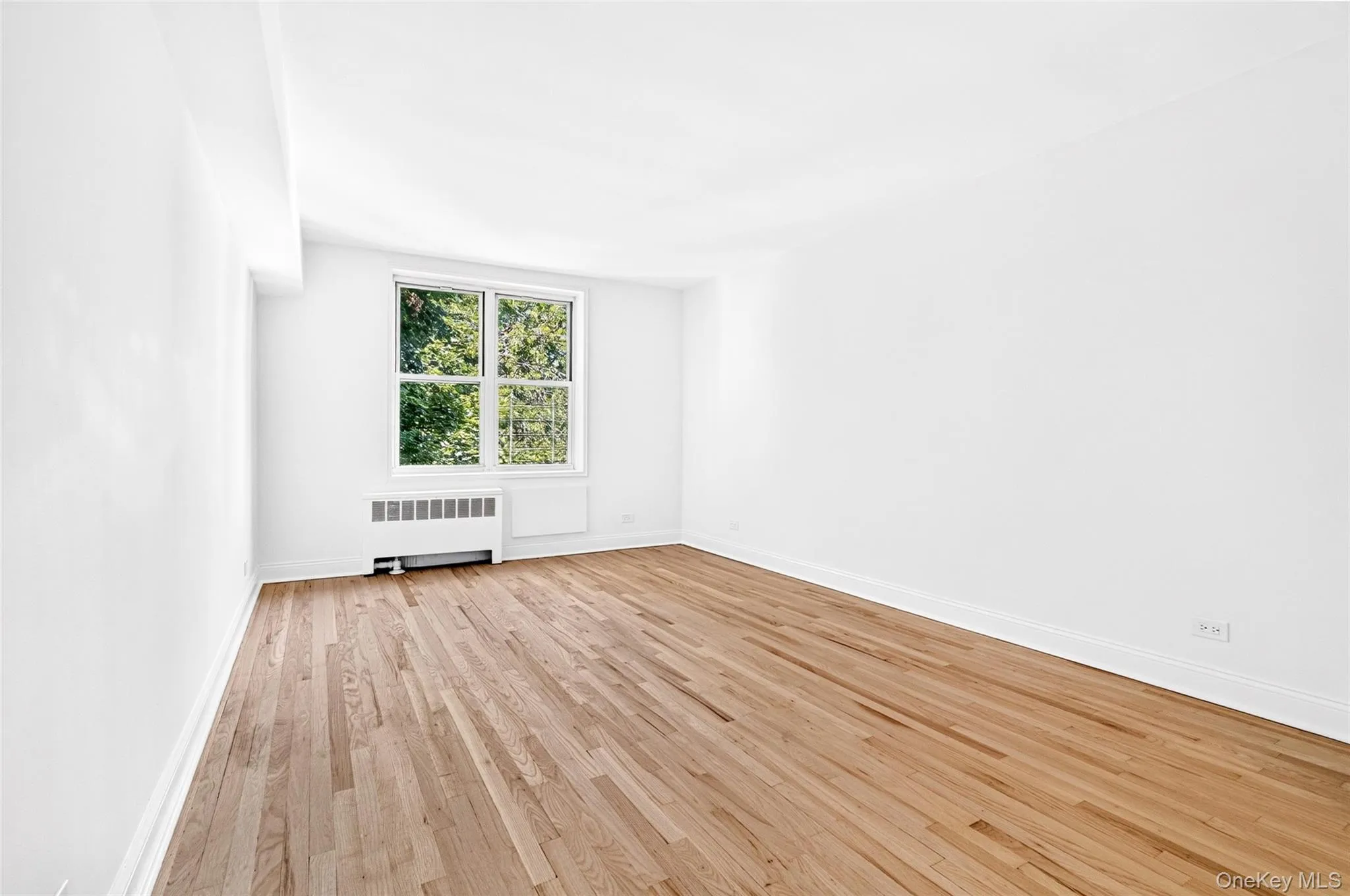 3201 Grand Concourse, New York, NY, 1 Bedroom Bedrooms, 3 Rooms Rooms,1 BathroomBathrooms,Residential,For Rent,Grand Concourse,0,1019731 3201 Grand Concourse, New York, NY, 1 Bedroom Bedrooms, 3 Rooms Rooms,1 BathroomBathrooms,Residential,For Rent,Grand Concourse,0,1019731
