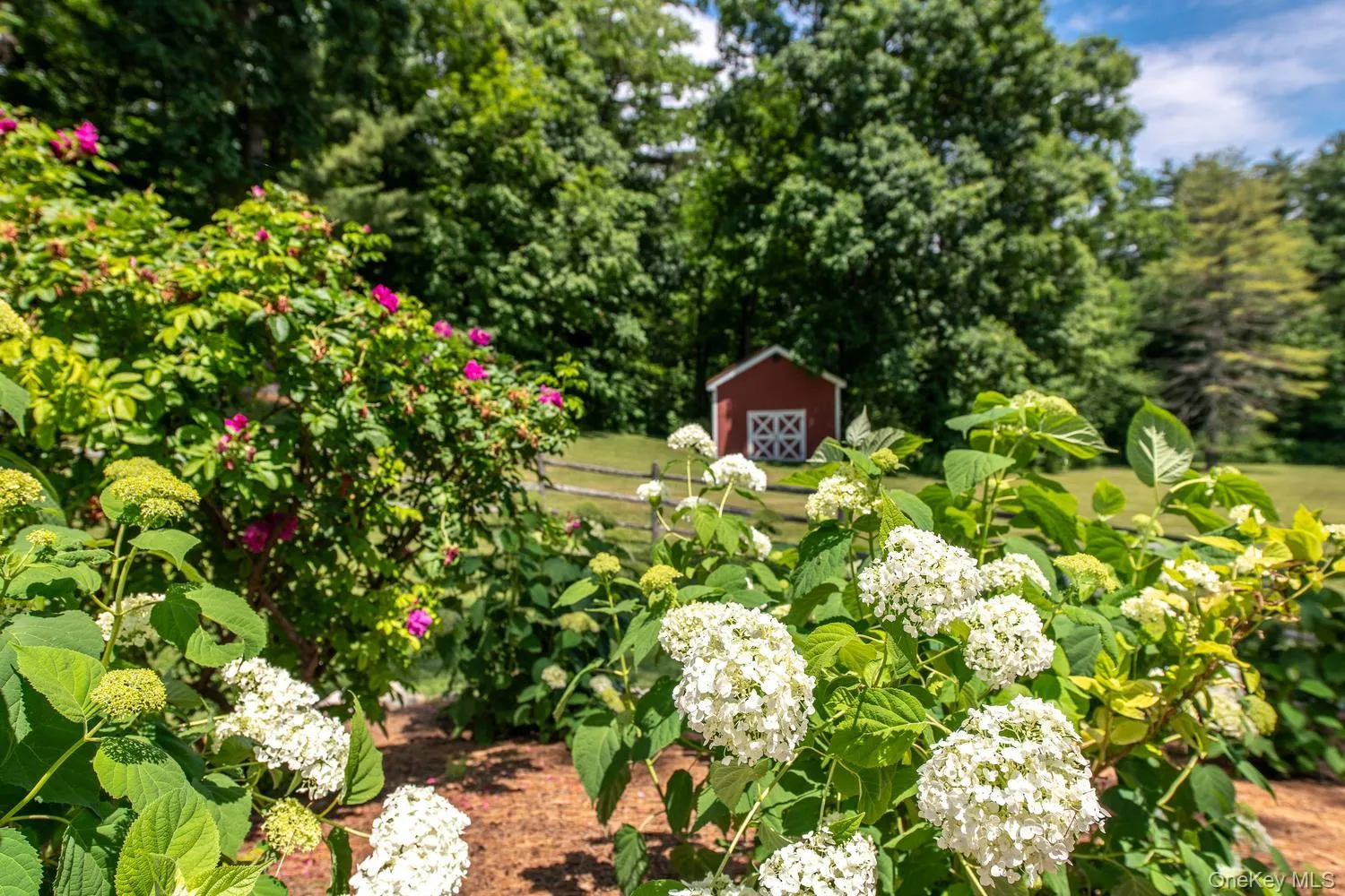 242 Milan Hollow Road, Milan, NY, 4 Bedrooms Bedrooms, 12 Rooms Rooms,3 BathroomsBathrooms,Residential,For Rent,Milan Hollow,0,1019733 242 Milan Hollow Road, Milan, NY, 4 Bedrooms Bedrooms, 12 Rooms Rooms,3 BathroomsBathrooms,Residential,For Rent,Milan Hollow,0,1019733