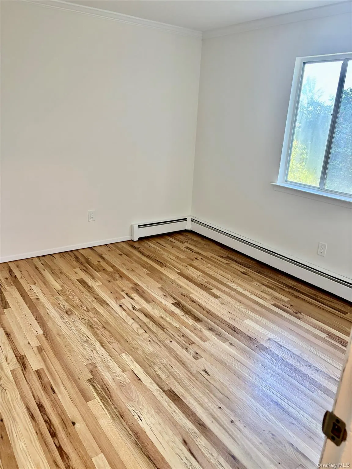 59 Weeks Avenue, Oyster Bay, NY, 2 Bedrooms Bedrooms, 6 Rooms Rooms,1 BathroomBathrooms,Residential Lease,For Rent,Weeks,0,1019784 59 Weeks Avenue, Oyster Bay, NY, 2 Bedrooms Bedrooms, 6 Rooms Rooms,1 BathroomBathrooms,Residential Lease,For Rent,Weeks,0,1019784