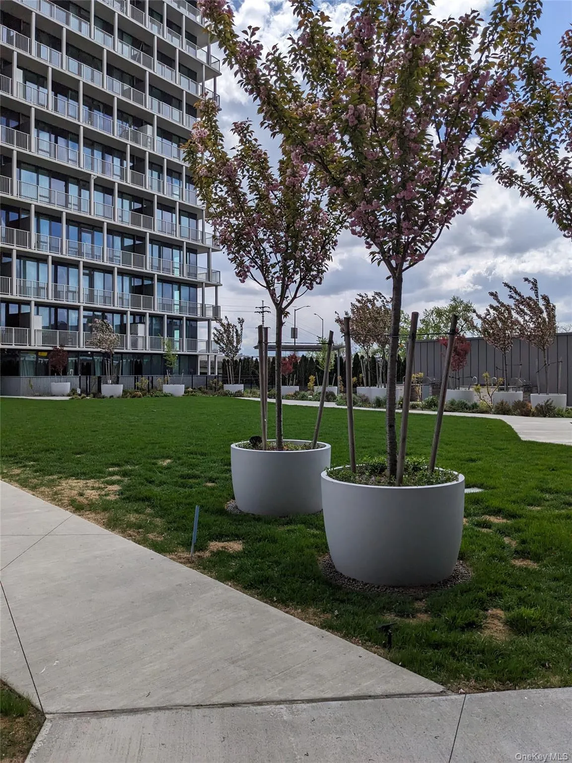 131-02A 40th Road, New York, NY, 2 Bedrooms Bedrooms, 4 Rooms Rooms,1 BathroomBathrooms,Residential Lease,For Rent,40th,0,1019785 131-02A 40th Road, New York, NY, 2 Bedrooms Bedrooms, 4 Rooms Rooms,1 BathroomBathrooms,Residential Lease,For Rent,40th,0,1019785