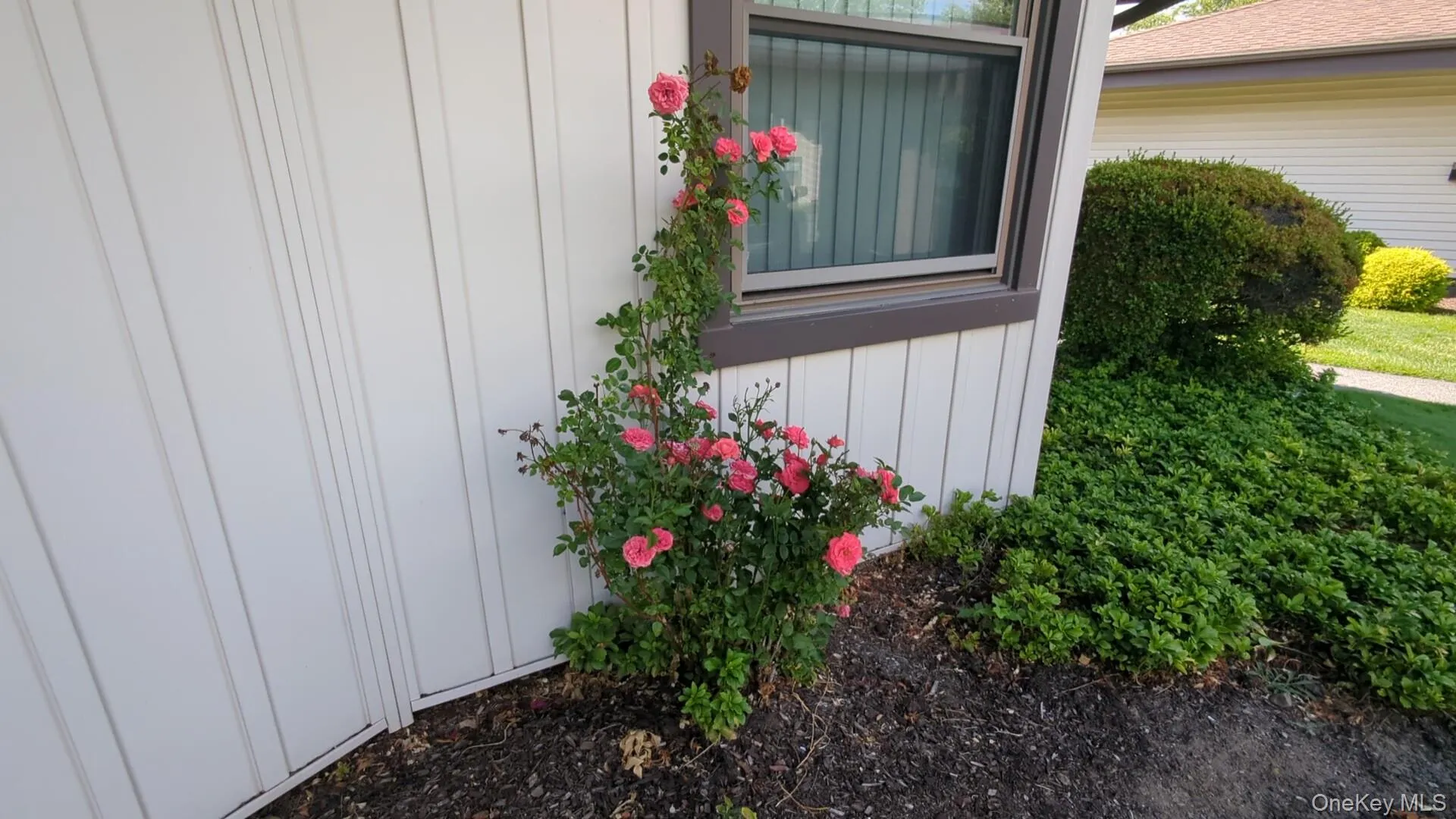 5 Devon Court, Yorktown, NY, 2 Bedrooms Bedrooms, 5 Rooms Rooms,1 BathroomBathrooms,Residential,For Rent,Devon,0,1019790 5 Devon Court, Yorktown, NY, 2 Bedrooms Bedrooms, 5 Rooms Rooms,1 BathroomBathrooms,Residential,For Rent,Devon,0,1019790