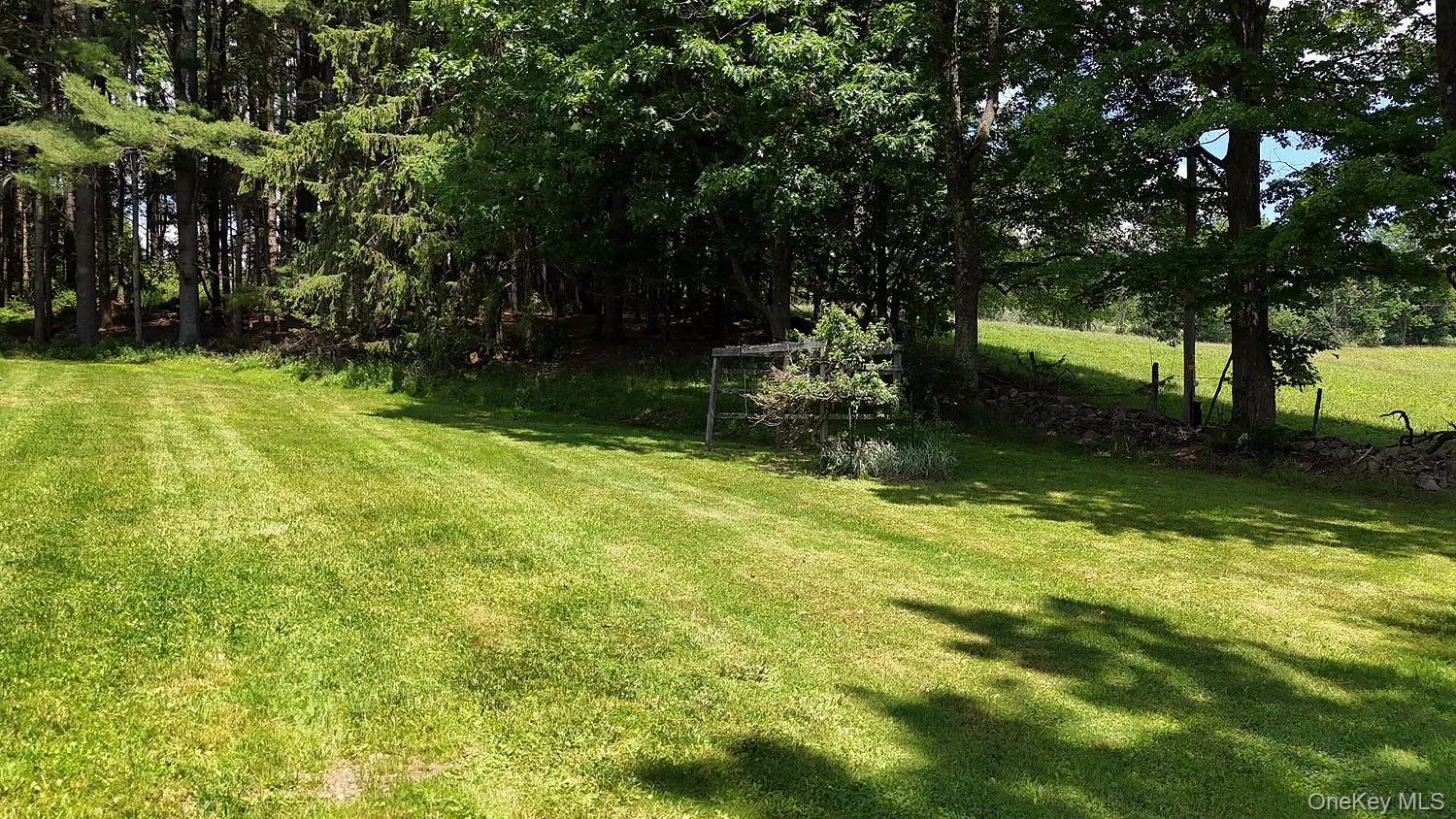 Lots of grass; and ringed by trees Lots of grass; and ringed by trees