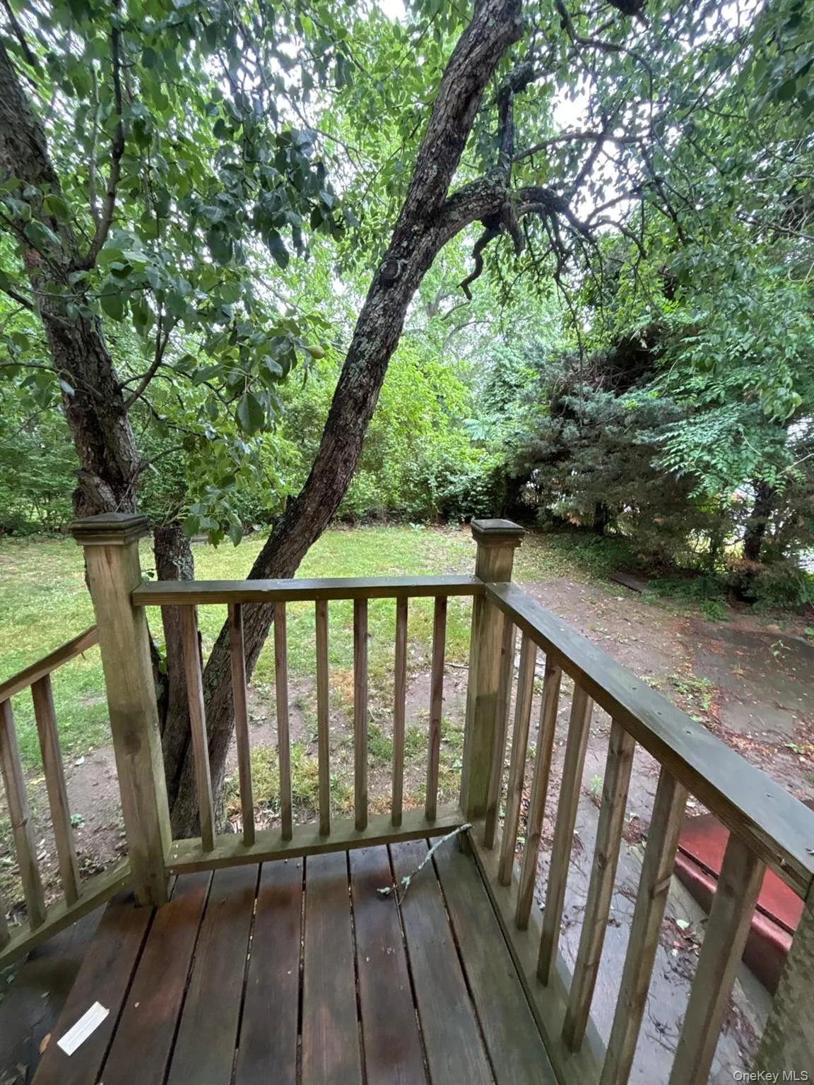 1121 Woodcrest Avenue, Riverhead, NY, 3 Bedrooms Bedrooms, 5 Rooms Rooms,1 BathroomBathrooms,Residential Lease,For Rent,Woodcrest,0,1019828 1121 Woodcrest Avenue, Riverhead, NY, 3 Bedrooms Bedrooms, 5 Rooms Rooms,1 BathroomBathrooms,Residential Lease,For Rent,Woodcrest,0,1019828