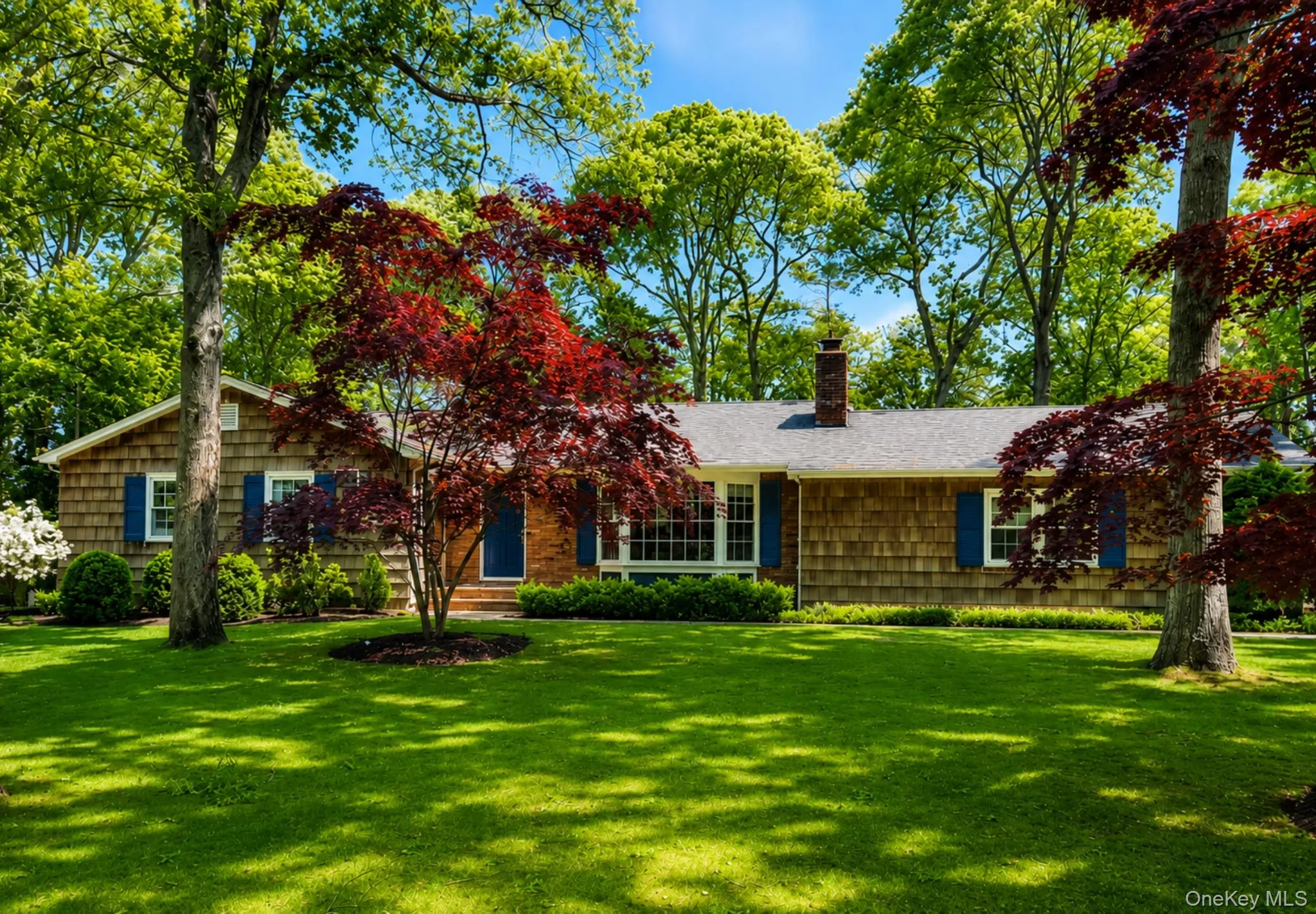 6 Holly Lane, Southampton, NY, 3 Bedroom Bedrooms, 8 Room Rooms,2 BathroomBathrooms,Residential Lease,For Rent,Holly,0,1019833 6 Holly Lane, Southampton, NY, 3 Bedroom Bedrooms, 8 Room Rooms,2 BathroomBathrooms,Residential Lease,For Rent,Holly,0,1019833