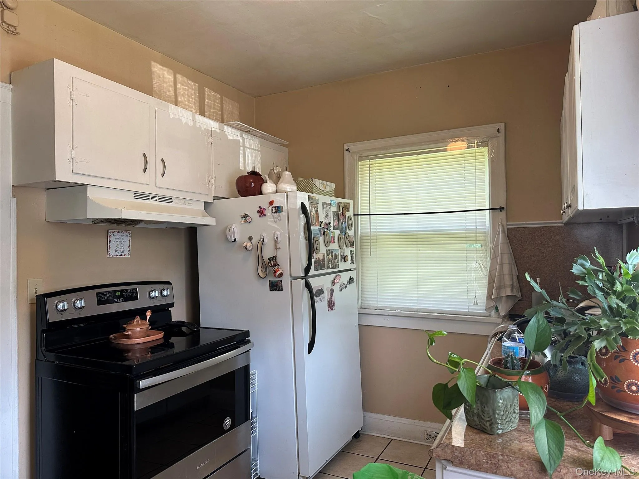 237 Windsor Highway, New Windsor, NY, 3 Bedrooms Bedrooms, 6 Rooms Rooms,1 BathroomBathrooms,Residential,For Rent,Windsor,0,1019884 237 Windsor Highway, New Windsor, NY, 3 Bedrooms Bedrooms, 6 Rooms Rooms,1 BathroomBathrooms,Residential,For Rent,Windsor,0,1019884