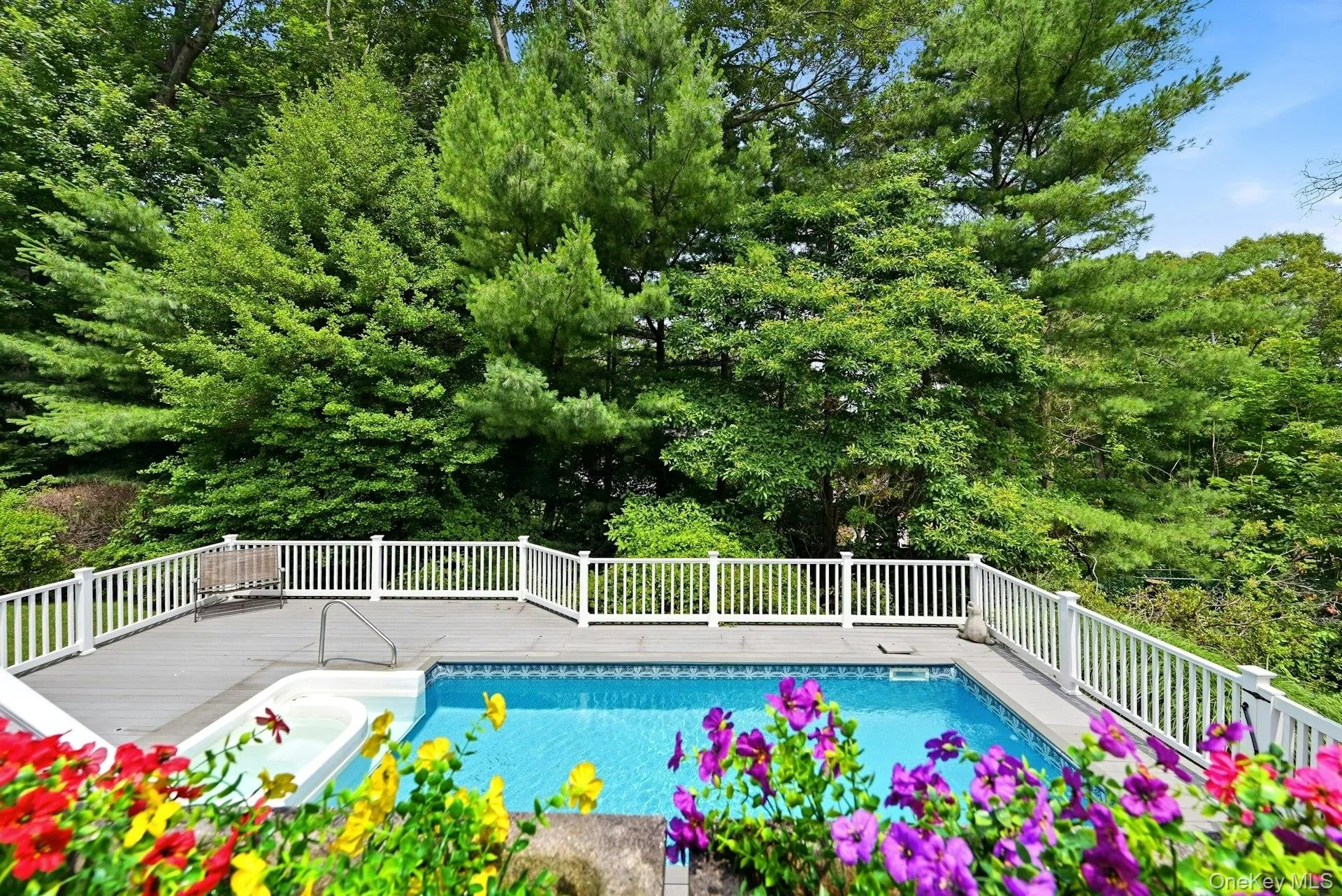 Built in pool with spa Built in pool with spa