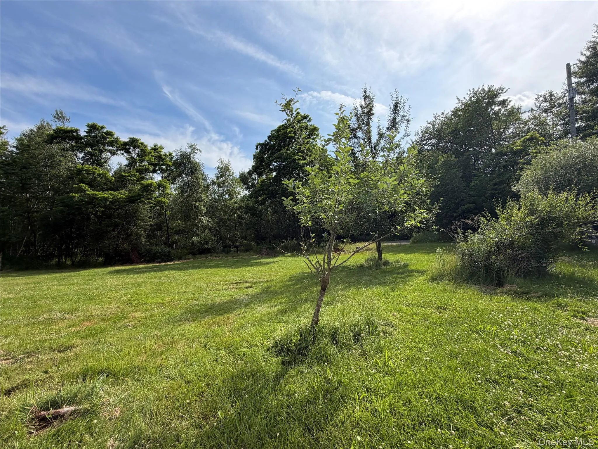 3 Kehrley Lane, Liberty, NY, 3 Bedrooms Bedrooms, 4 Rooms Rooms,2 BathroomsBathrooms,Residential,For Rent,Kehrley,0,1019946 3 Kehrley Lane, Liberty, NY, 3 Bedrooms Bedrooms, 4 Rooms Rooms,2 BathroomsBathrooms,Residential,For Rent,Kehrley,0,1019946
