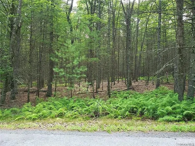 00 Summit Drive, Highland, NY, ,Land,For Rent,Summit,0,1019949 00 Summit Drive, Highland, NY, ,Land,For Rent,Summit,0,1019949