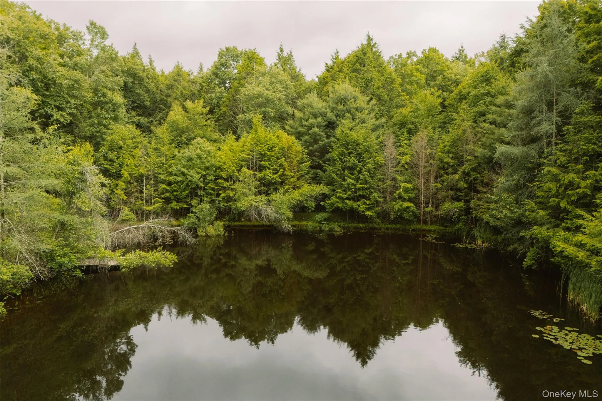 196 County Road 115, Bethel, NY, 4 Bedrooms Bedrooms, 10 Rooms Rooms,1 BathroomBathrooms,Residential,For Rent,County Road 115,0,1019964 196 County Road 115, Bethel, NY, 4 Bedrooms Bedrooms, 10 Rooms Rooms,1 BathroomBathrooms,Residential,For Rent,County Road 115,0,1019964