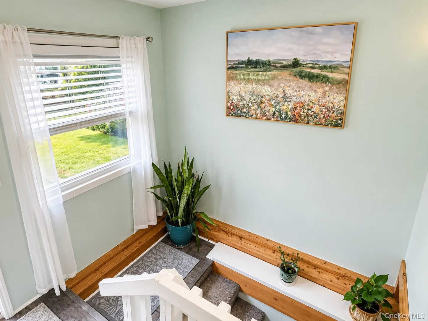Plants love this room! Plants love this room!